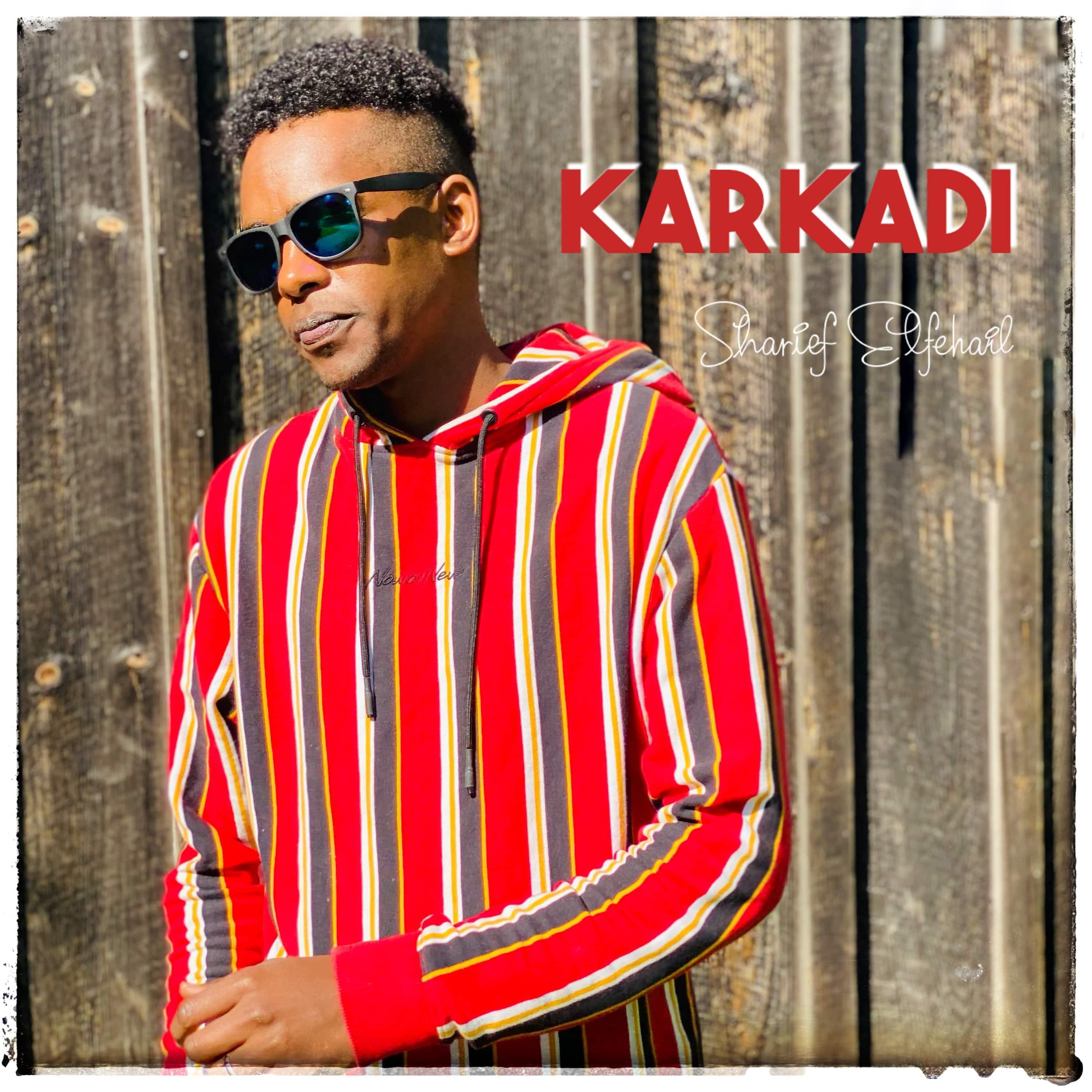 Релиз Karkadi