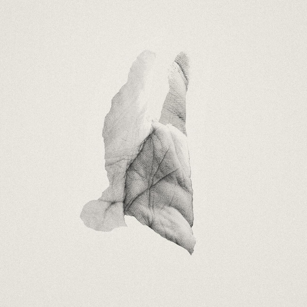Релиз Sleep Heavy
