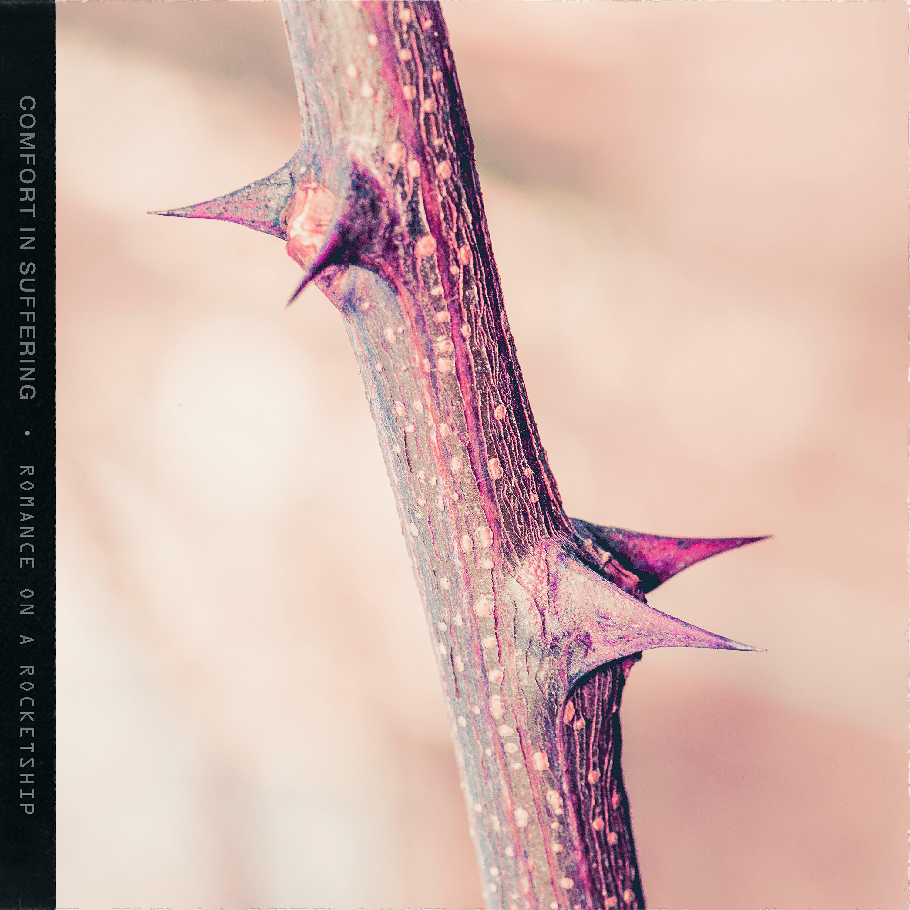 Romance on a Rocketship