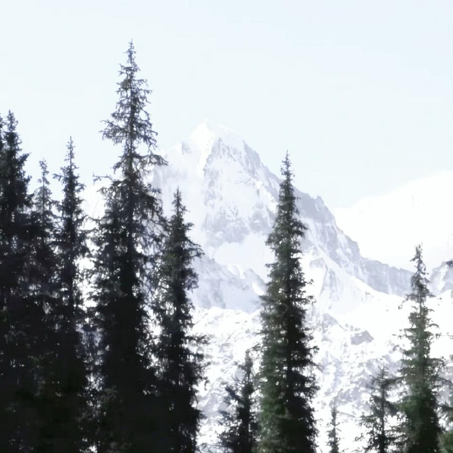 Волна по релизу