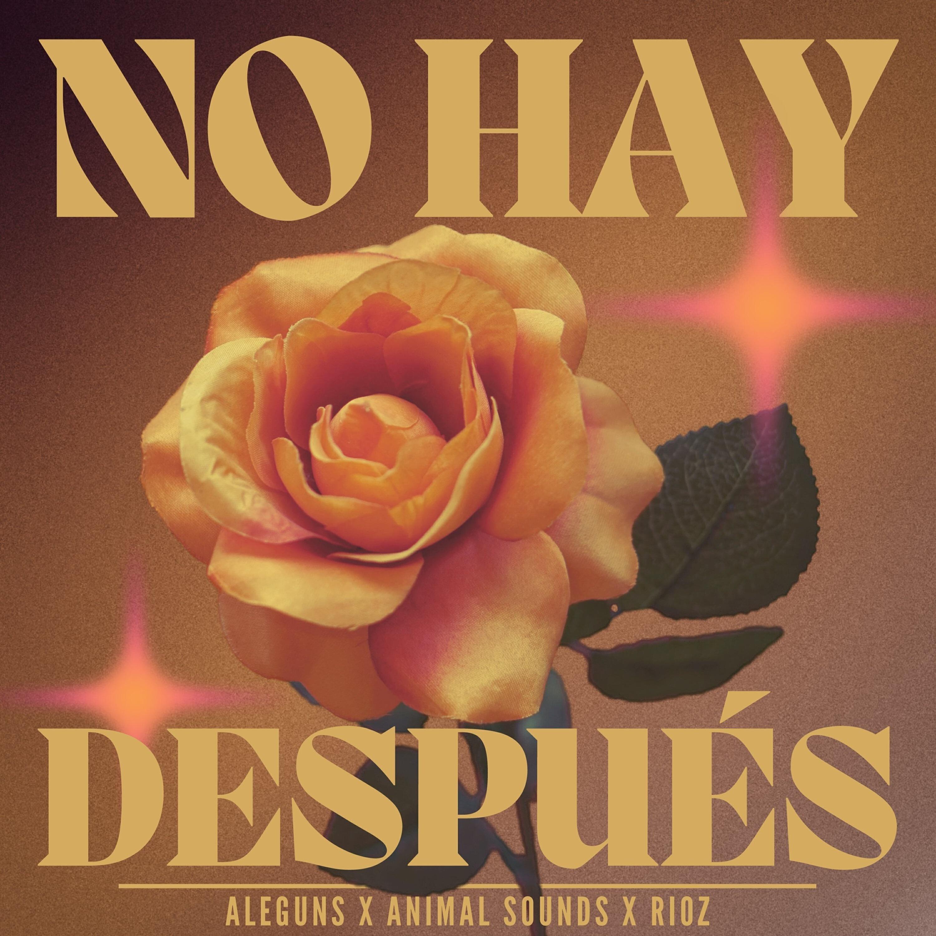 Релиз No Hay Después