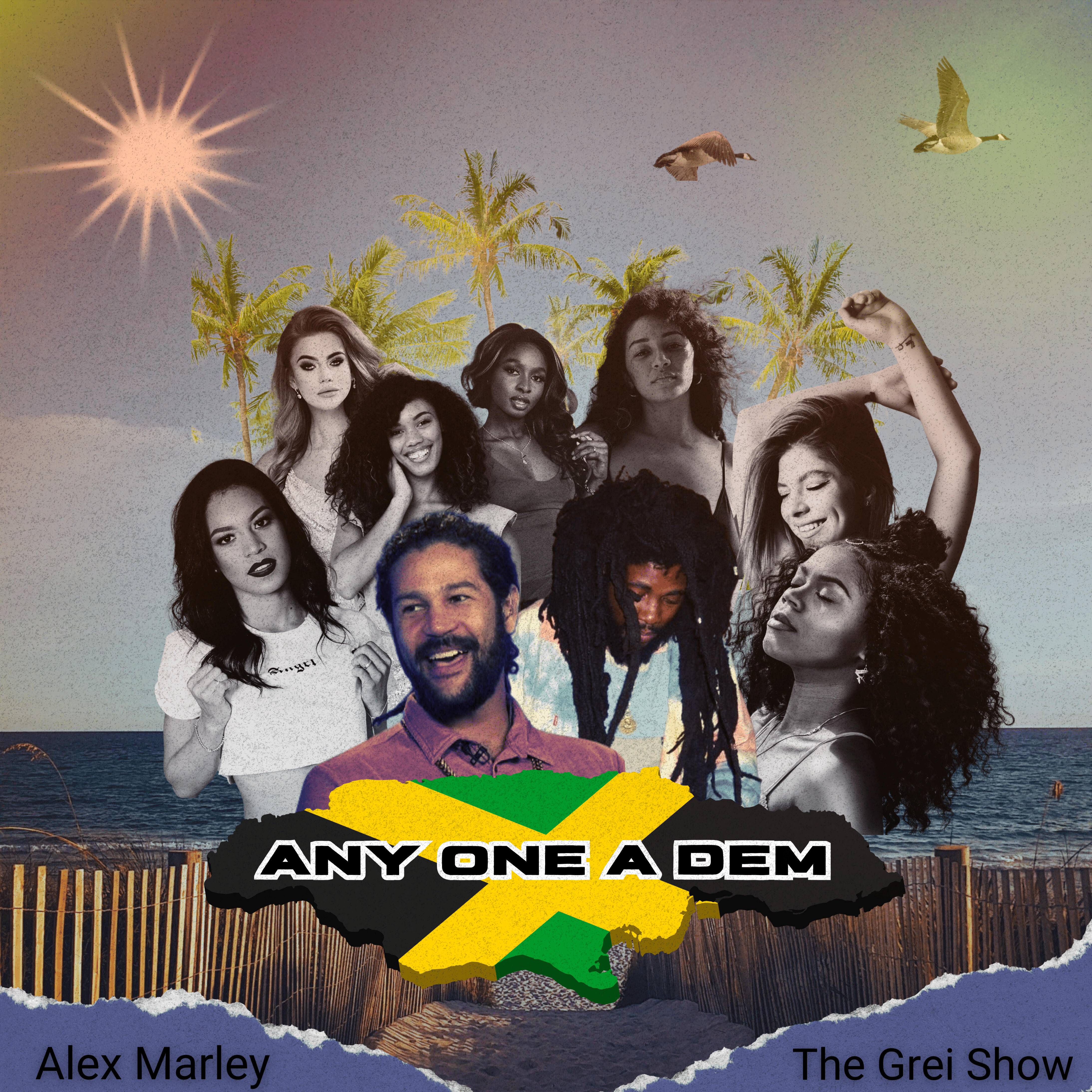 Релиз Any One a Dem