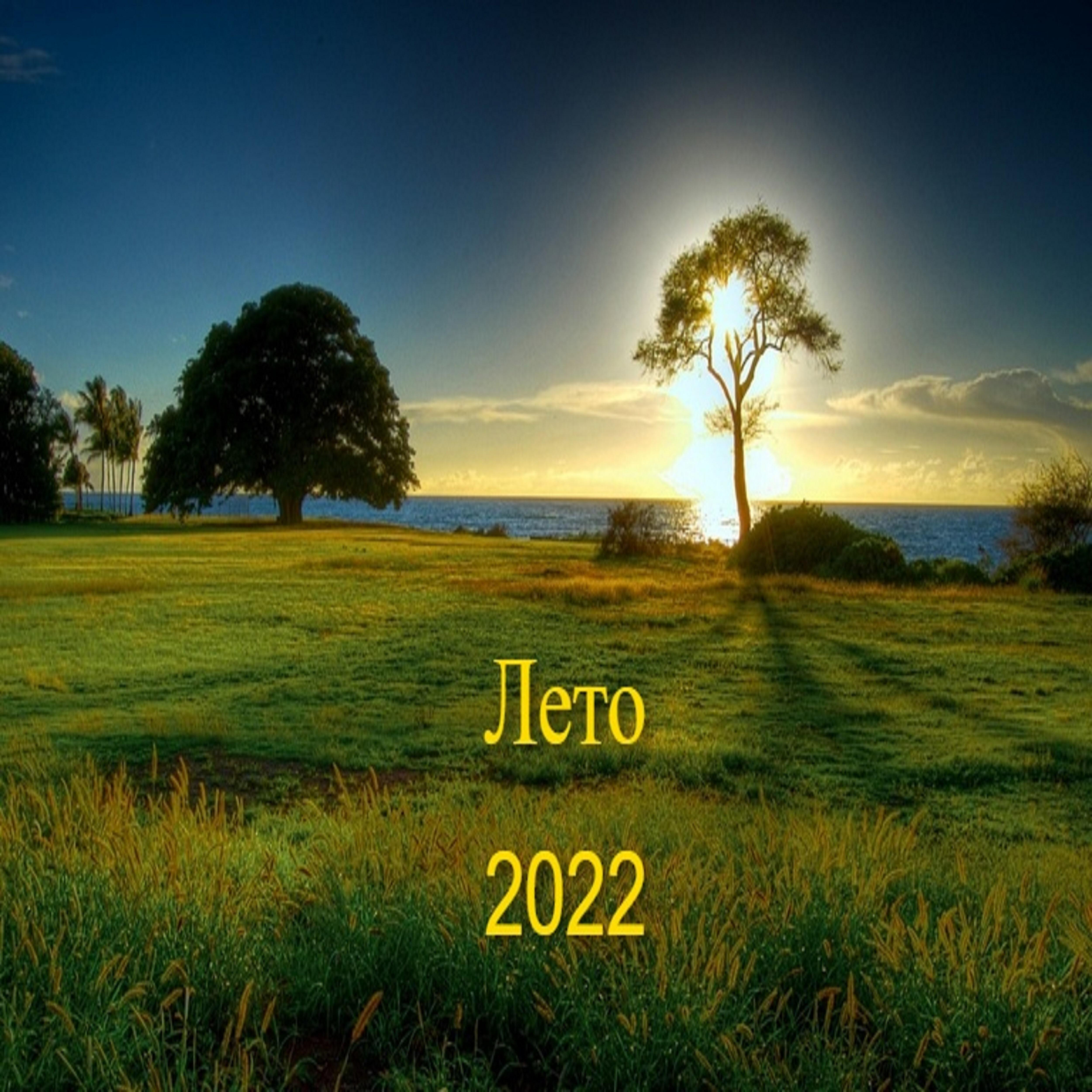 Релиз Лето