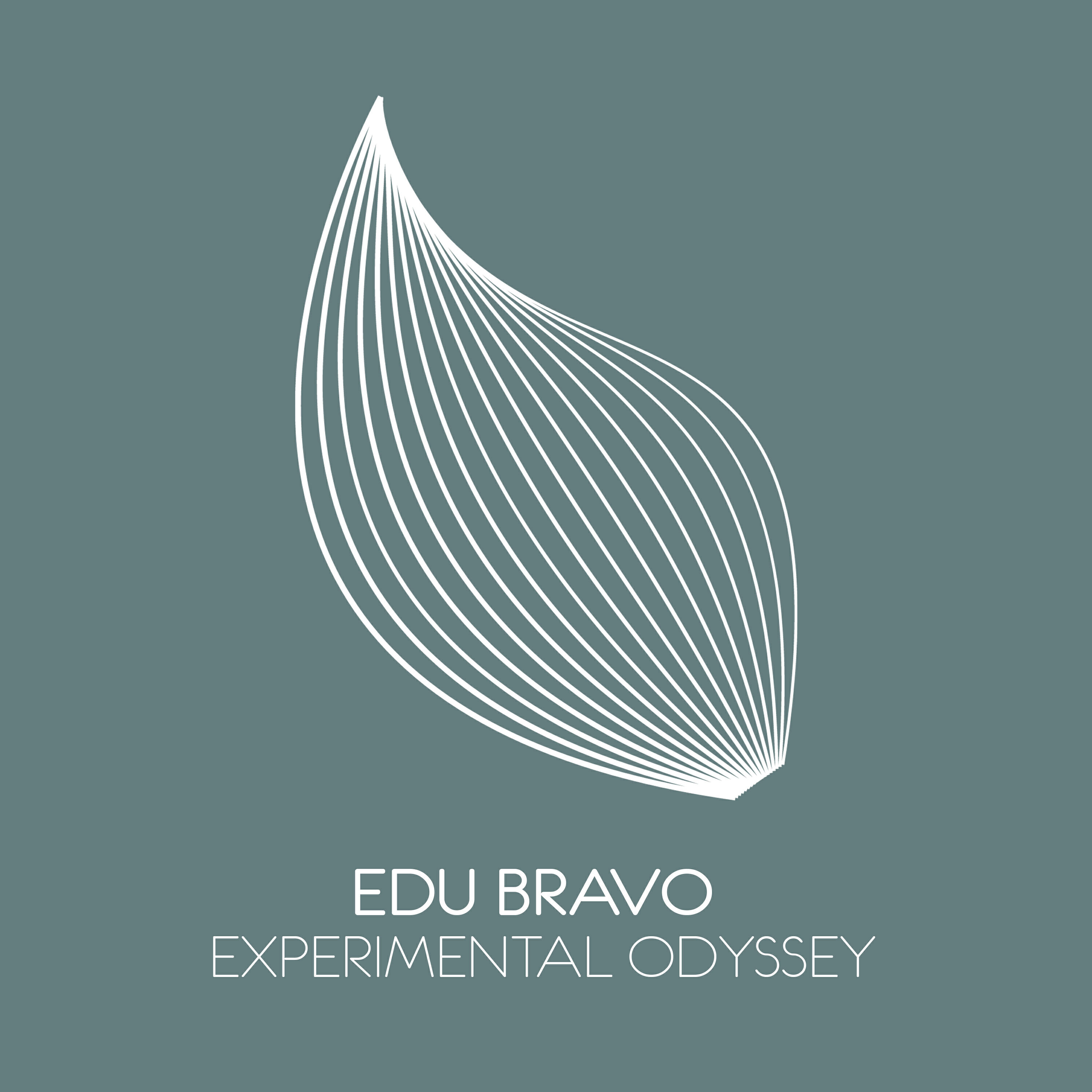Постер альбома Experimental Odyssey