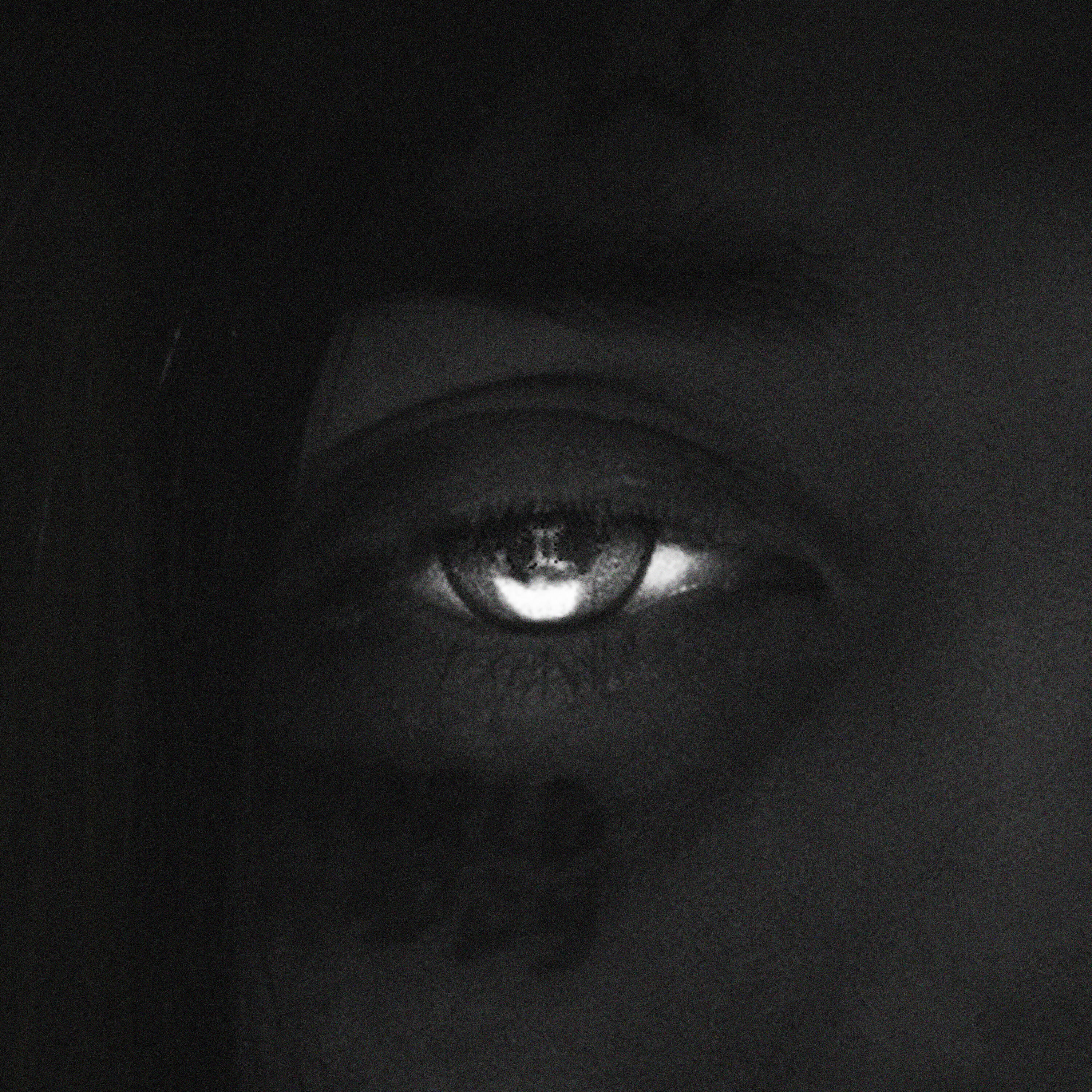 Релиз Близнецы: Thanatos