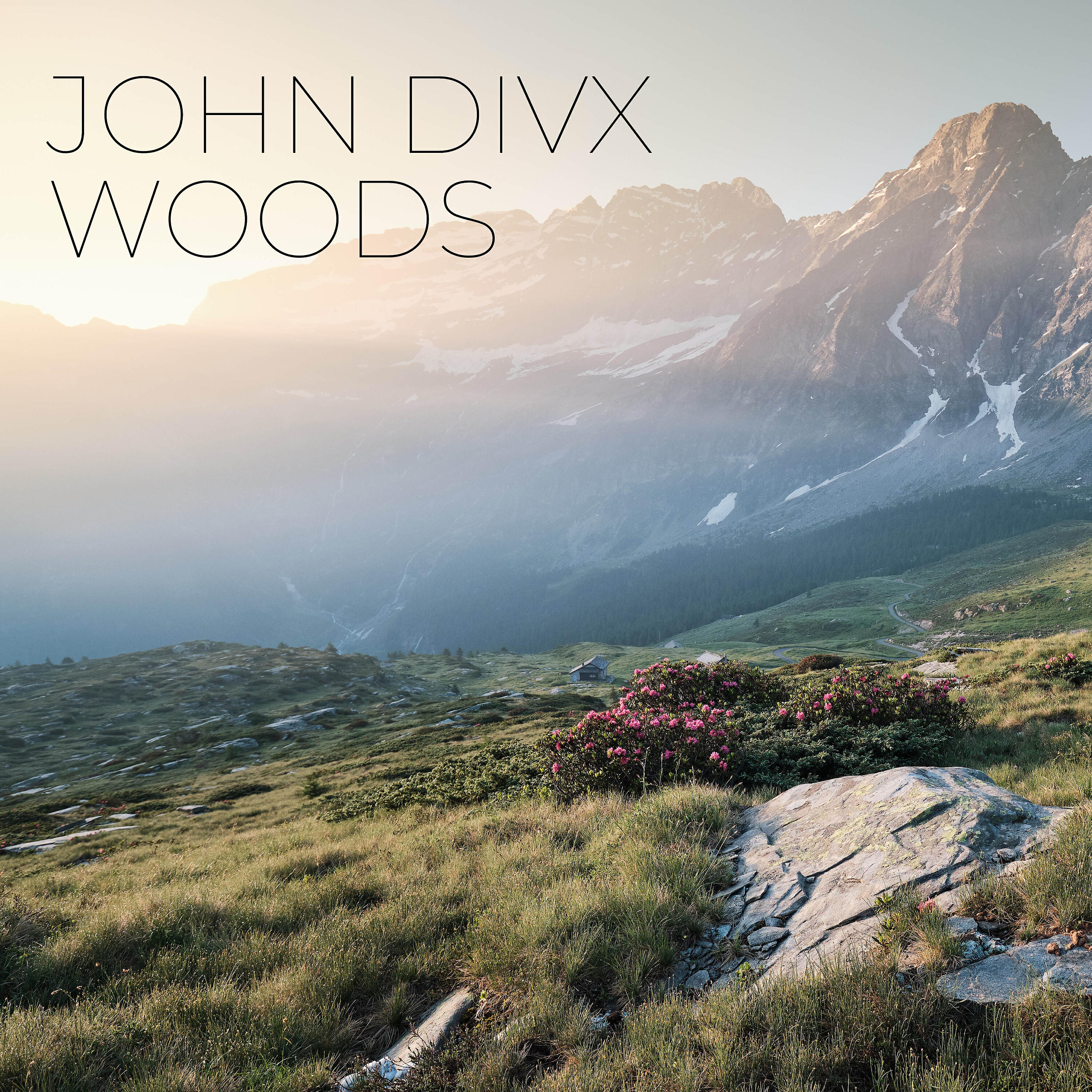 Релиз Woods (8D Audio)