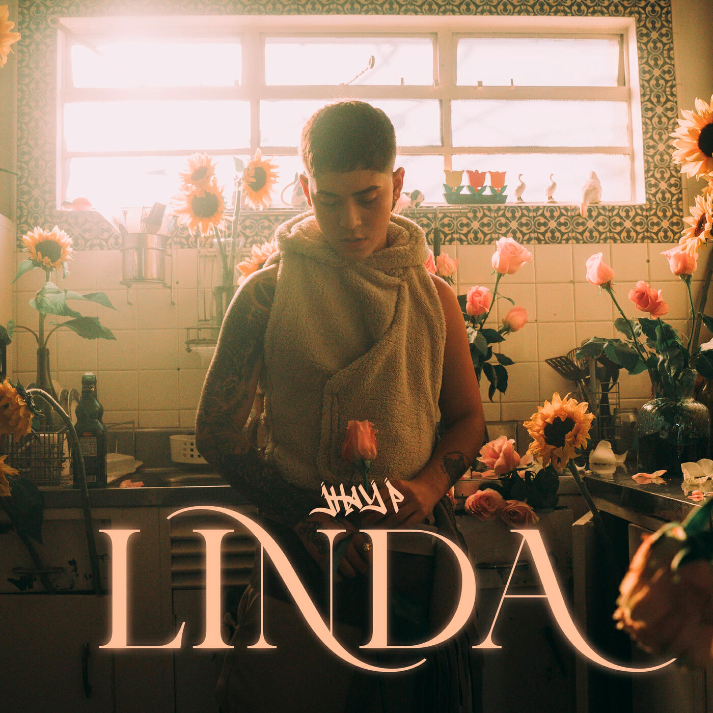 Релиз LINDA