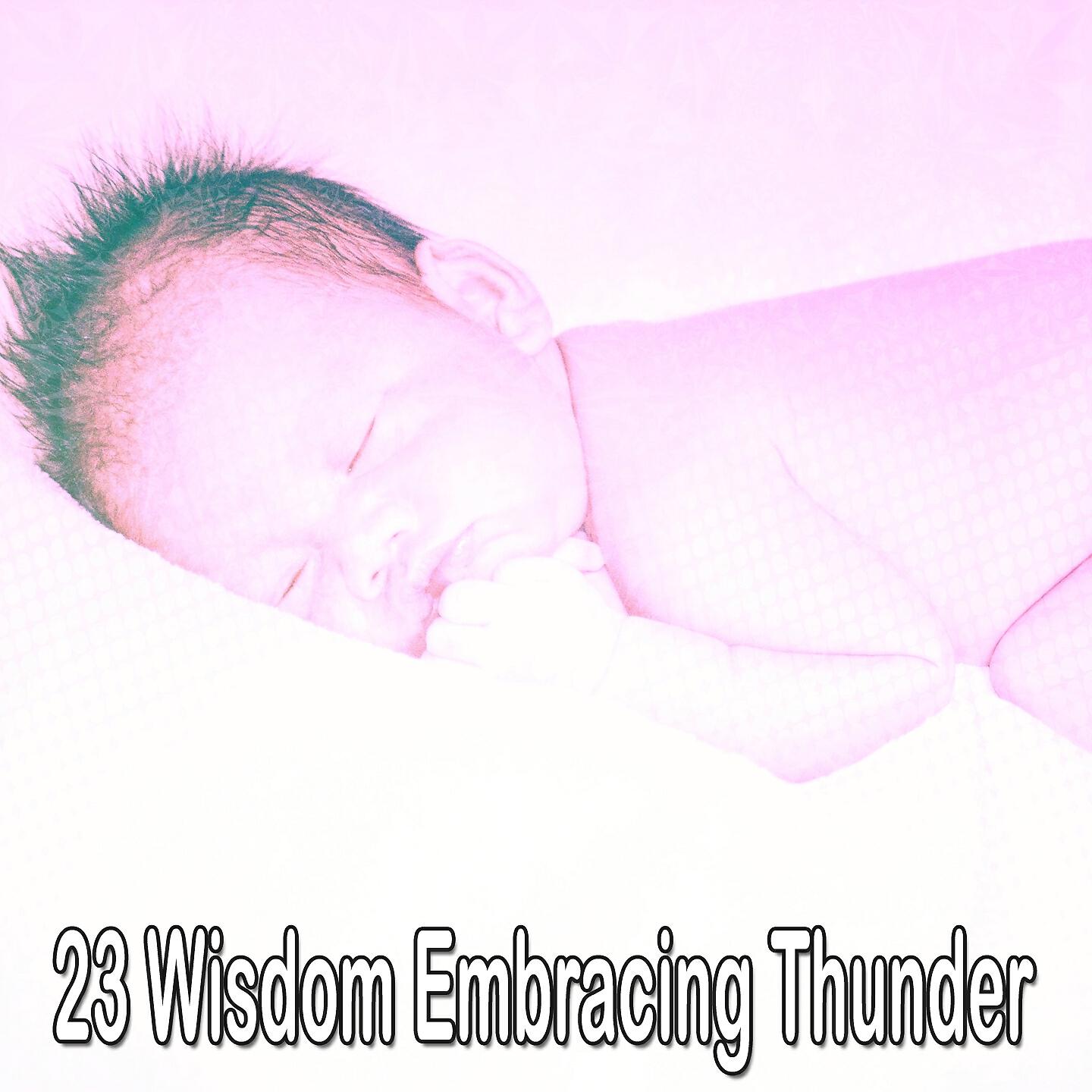 Релиз 23 Wisdom Embracing Thunder