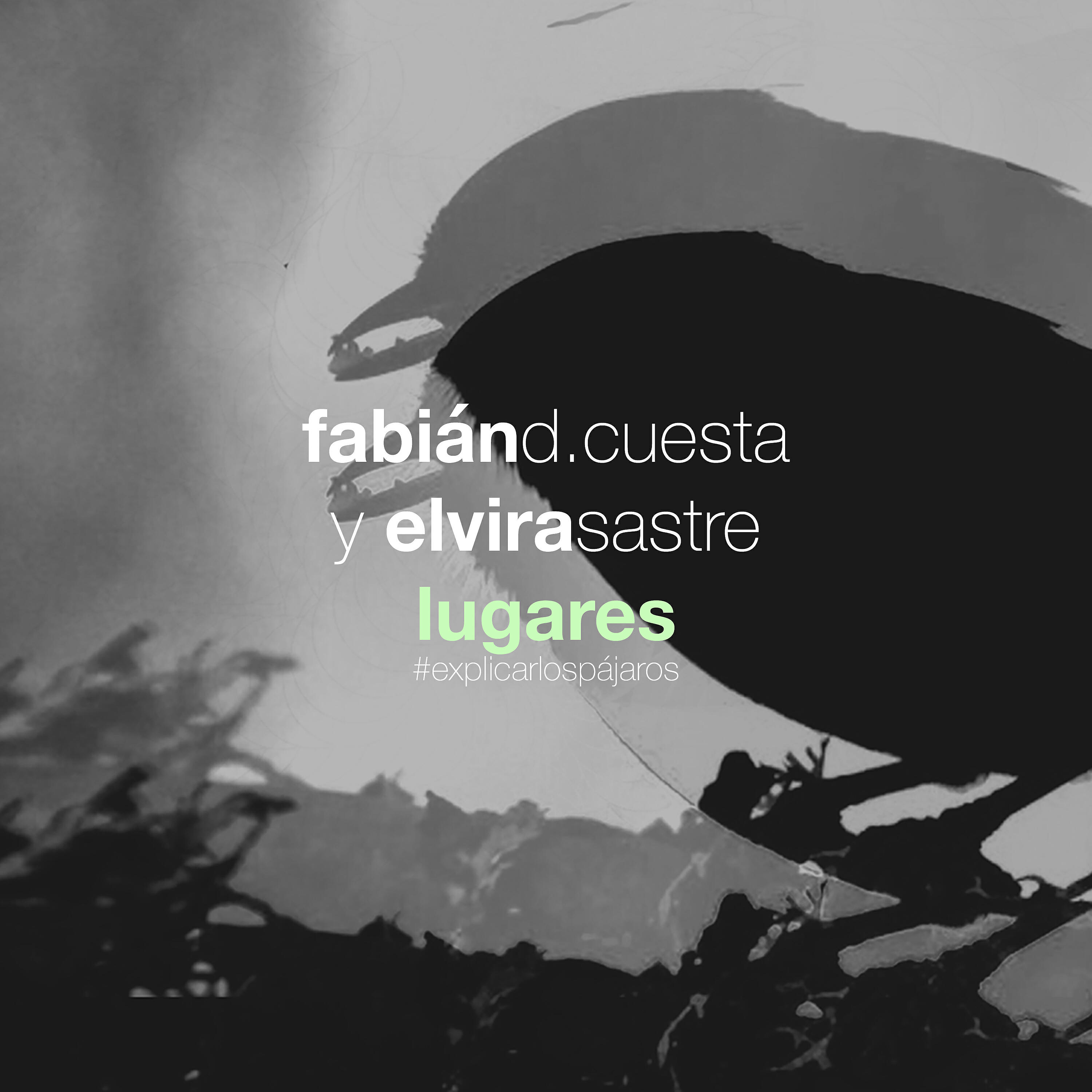 Релиз Lugares - Explicar los pájaros