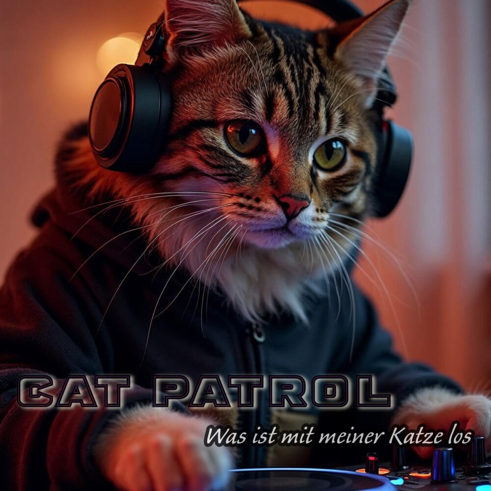 Релиз Was ist mit meiner Katze los (Partymix)