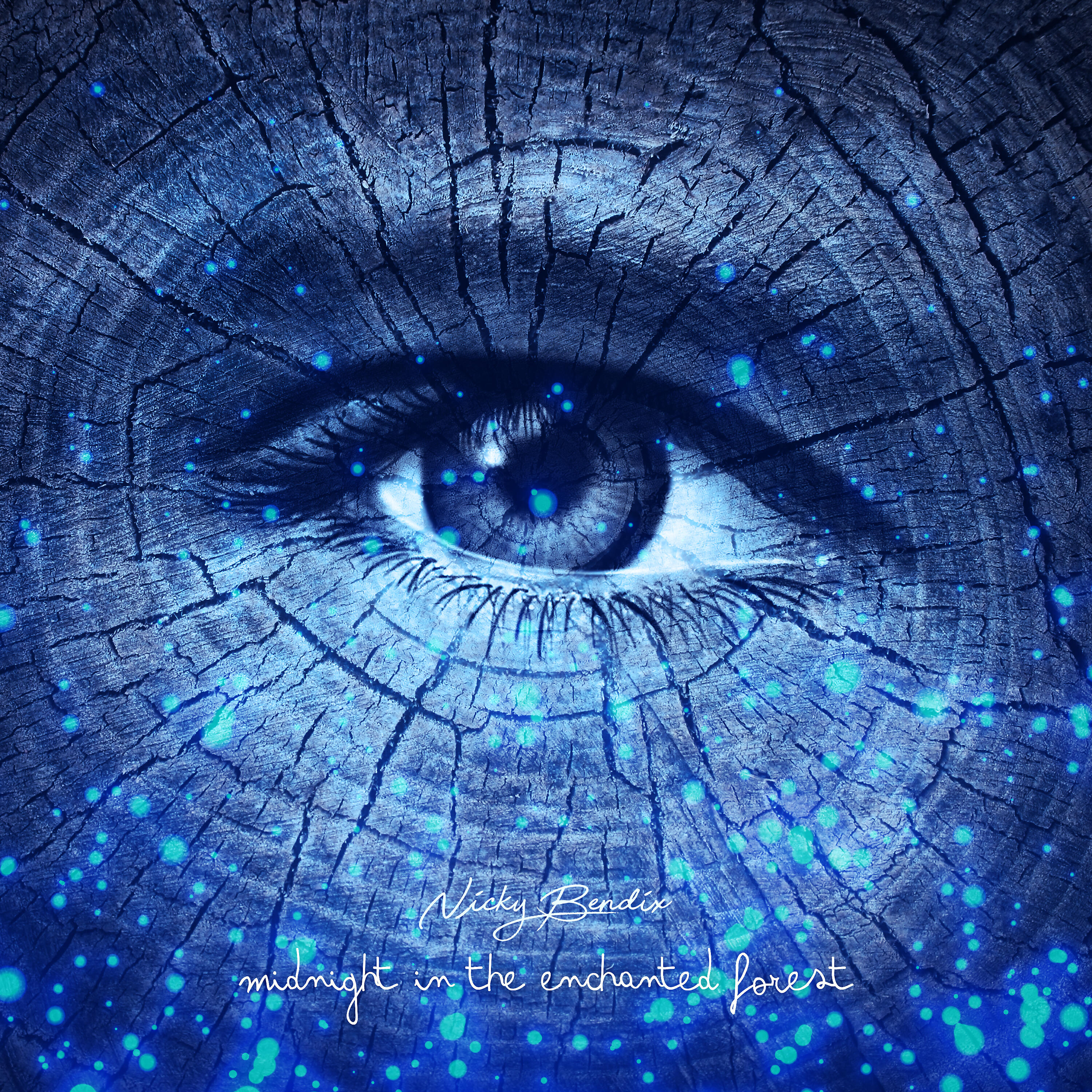 Релиз Midnight in the Enchanted Forest