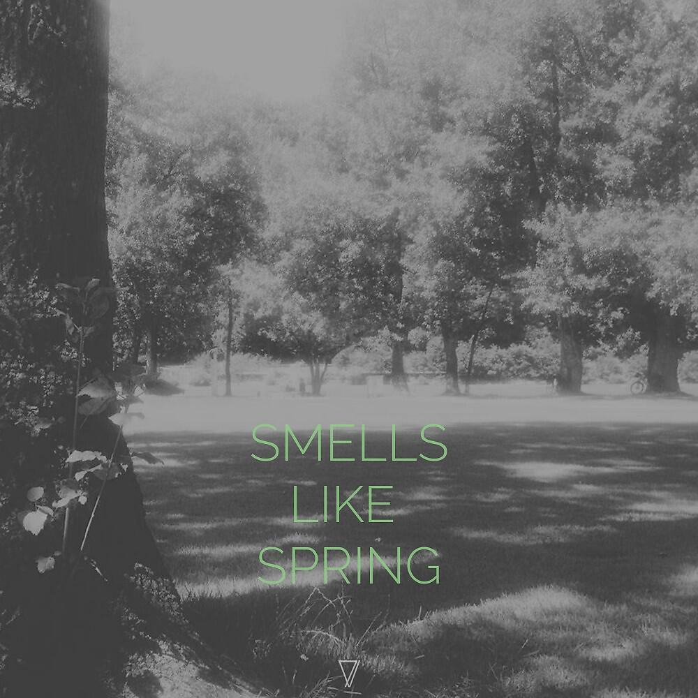 Постер альбома Smells Like Spring