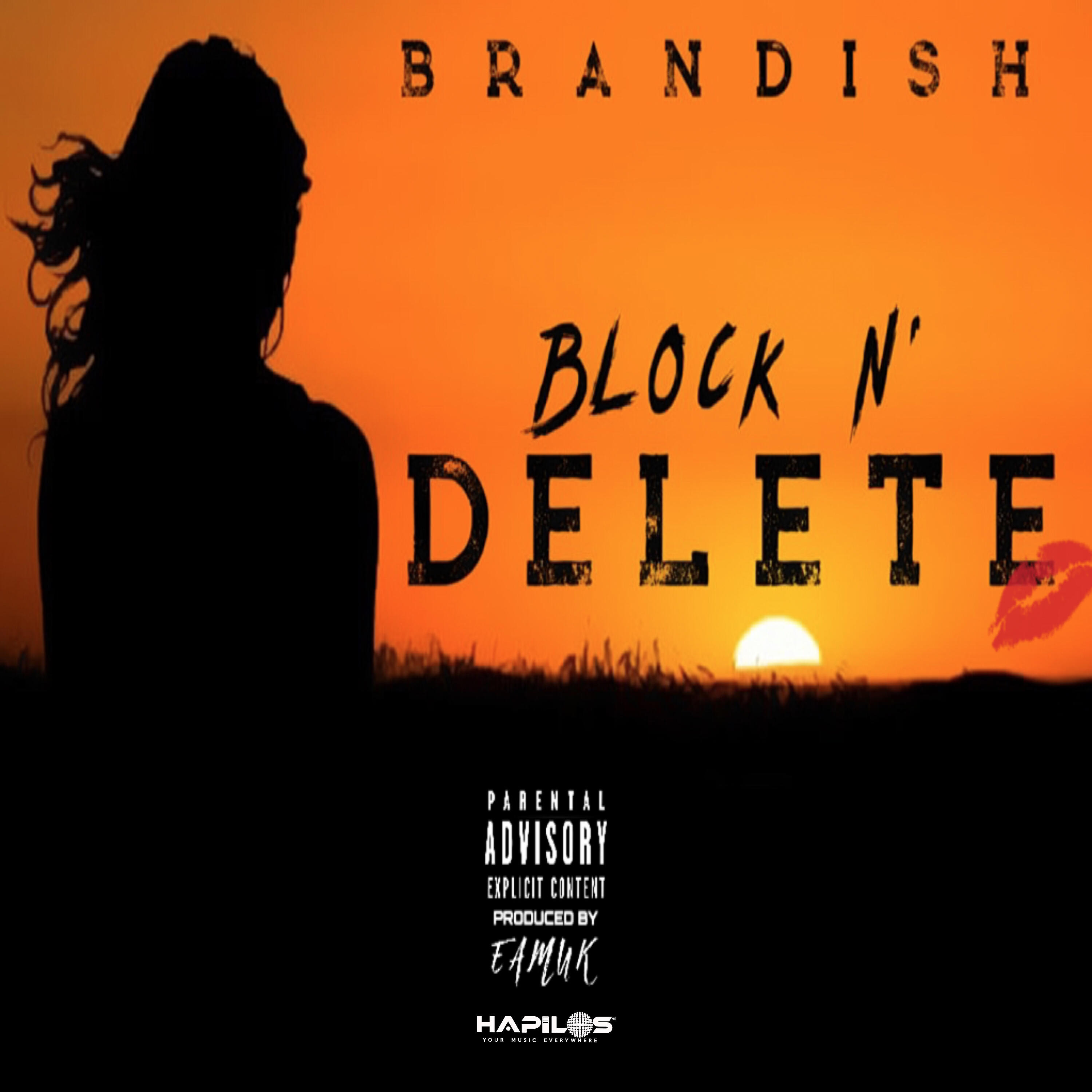 Релиз Block n Delete
