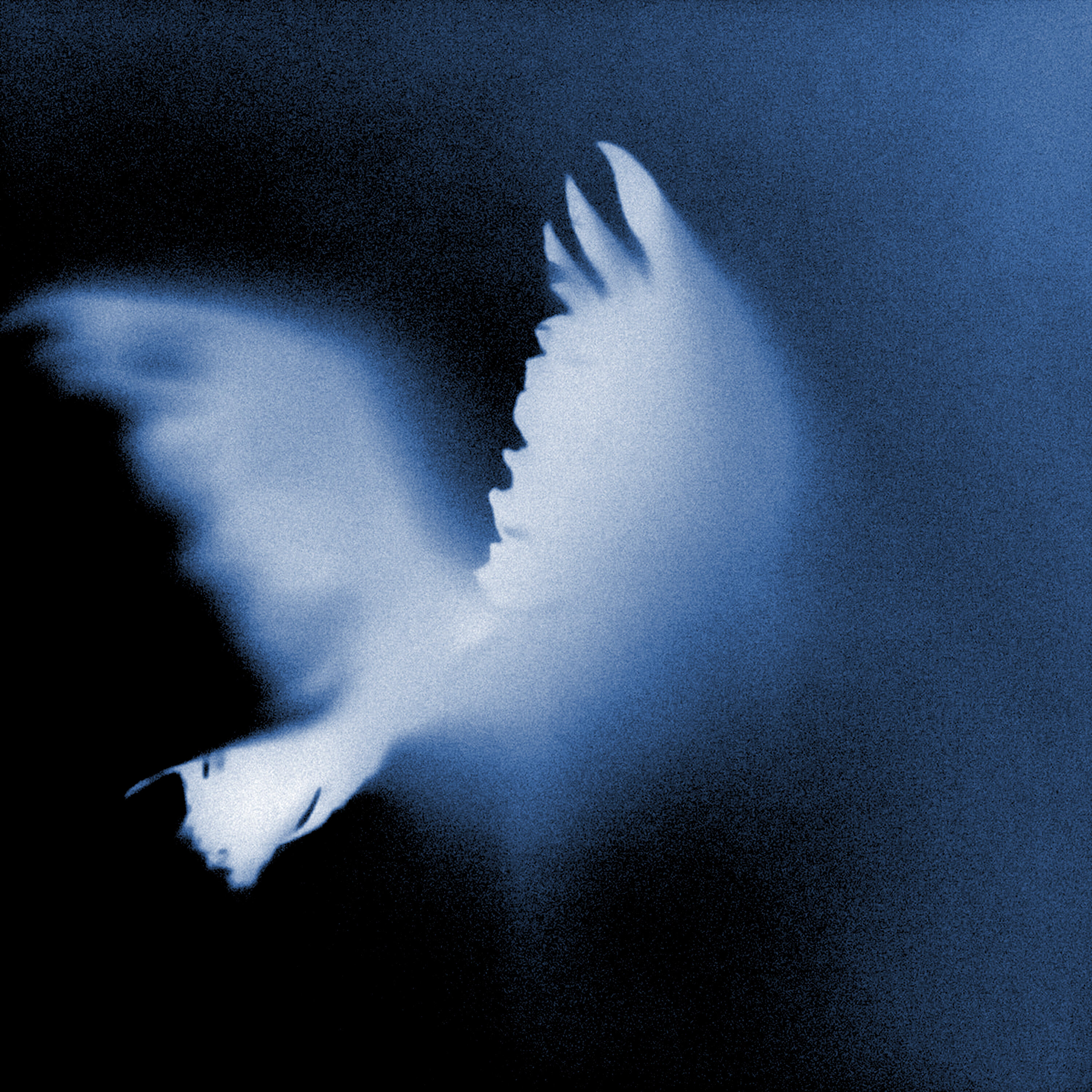 Релиз FLIGHT