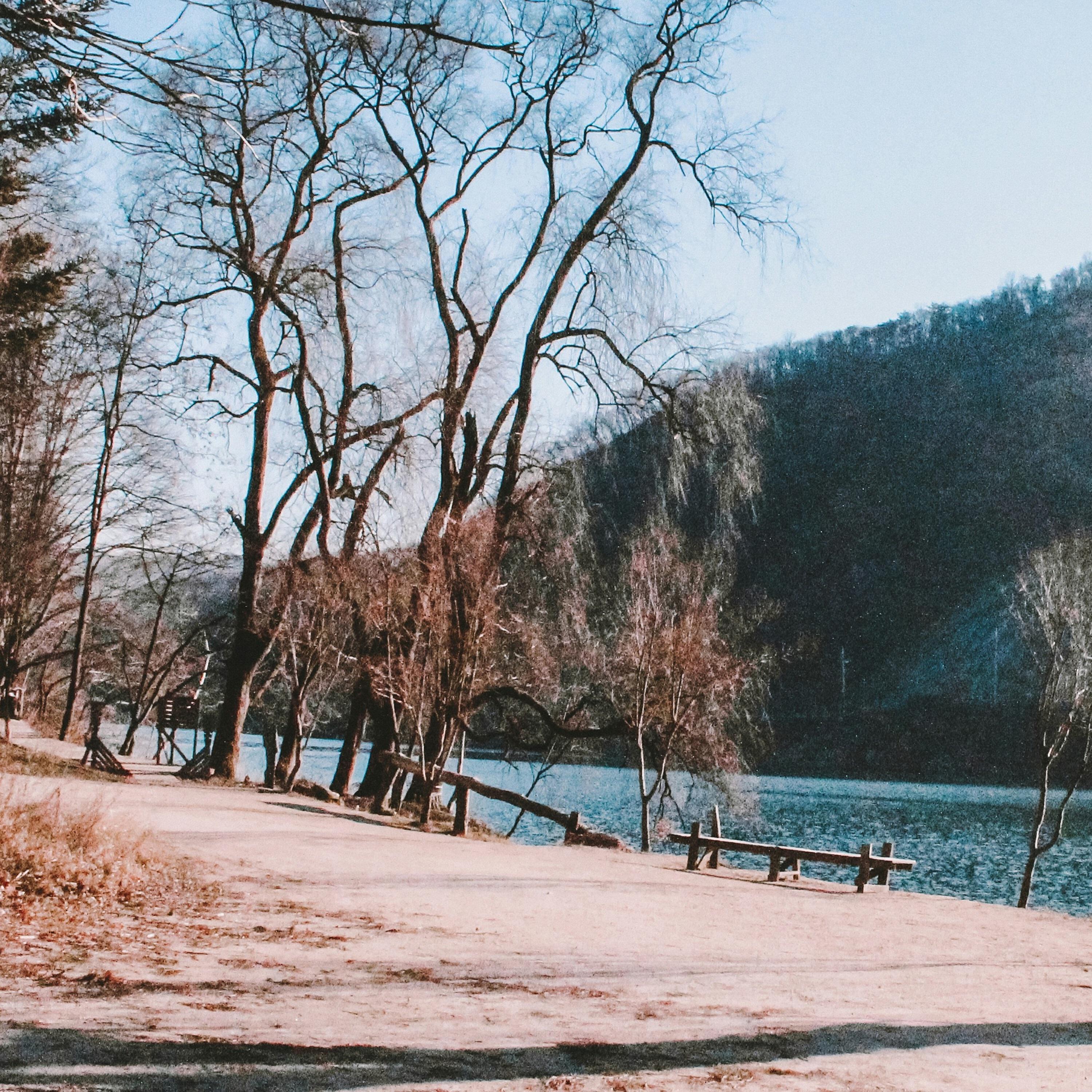 Релиз 治愈轻音乐