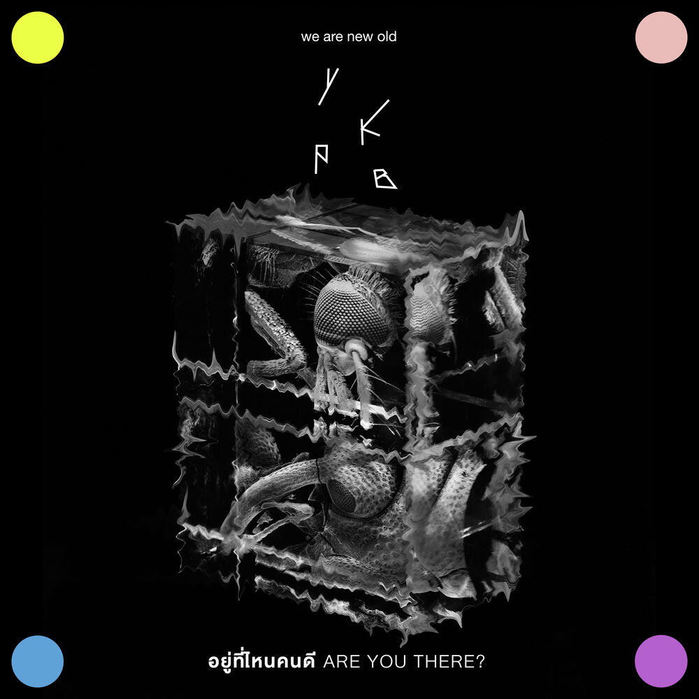 Релиз อยู่ที่ไหนคนดี – ARE YOU THERE?