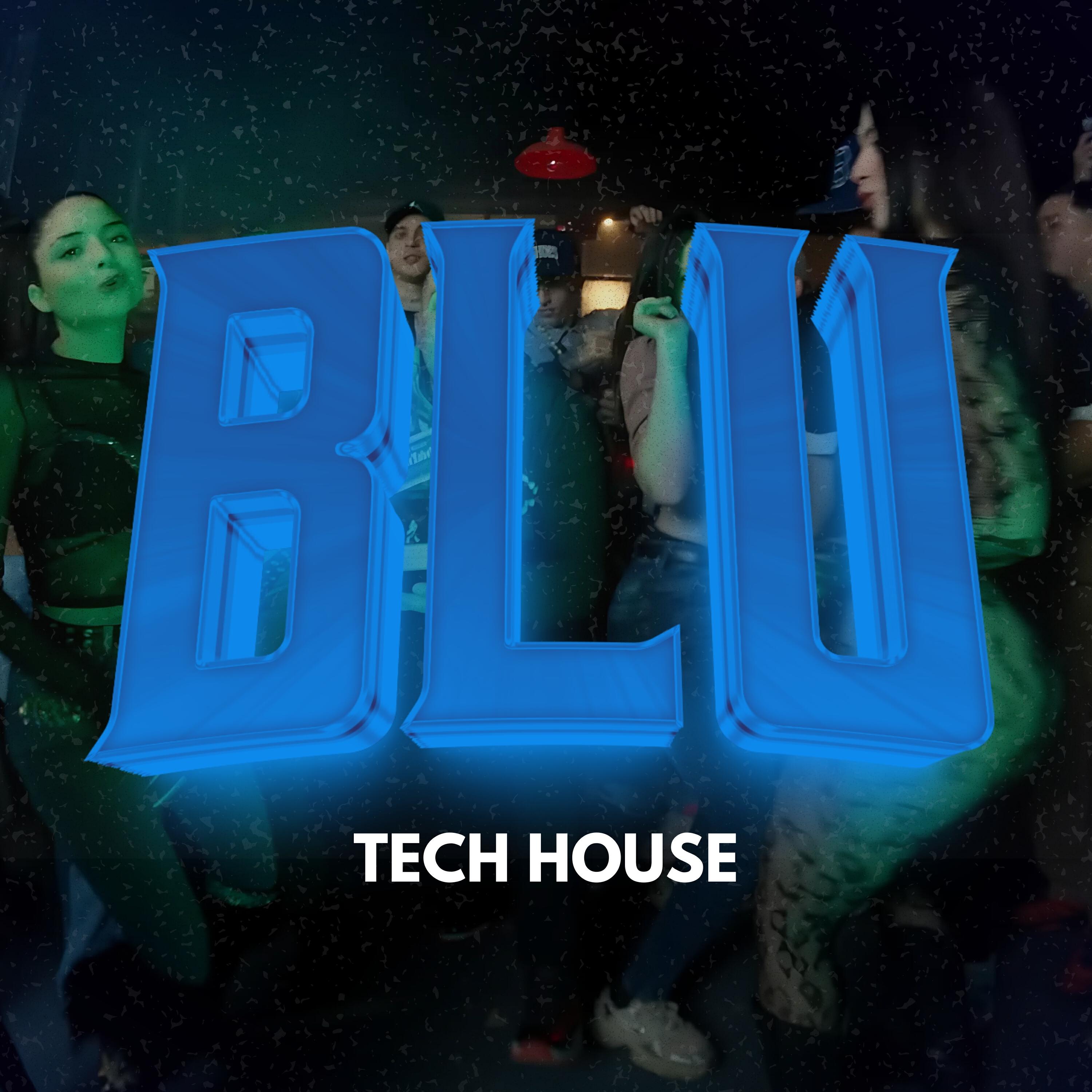 Релиз Blu (Tech House)