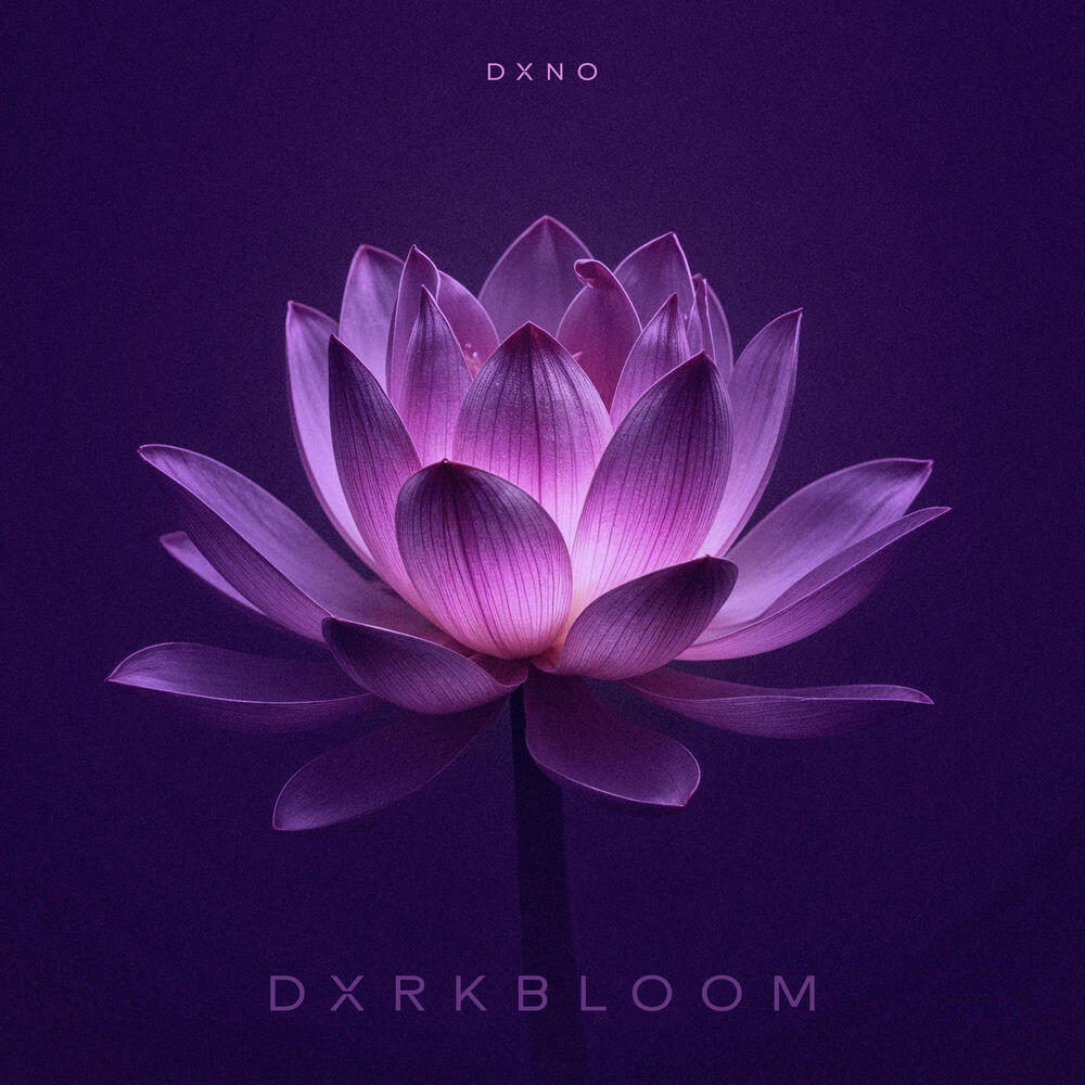 DXNO