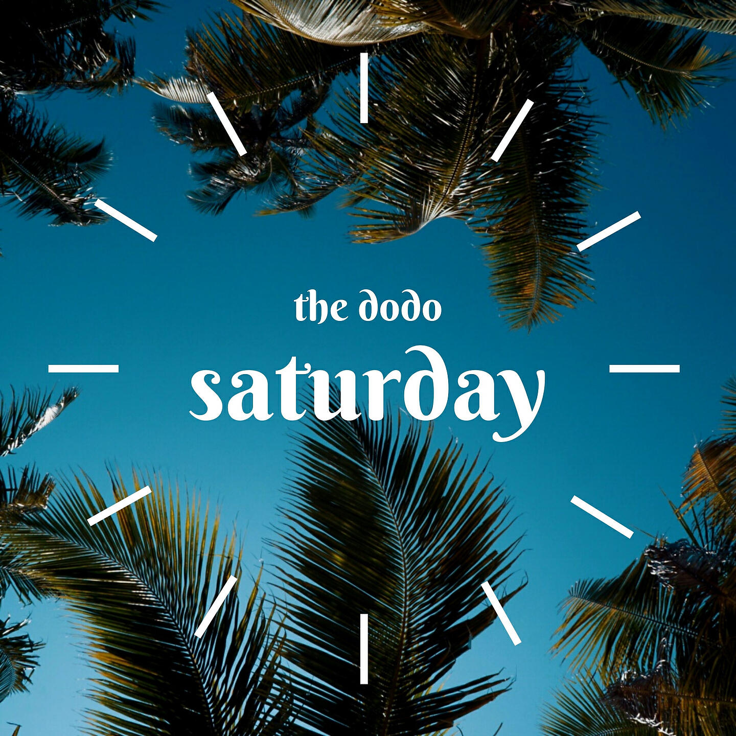 Релиз Saturday