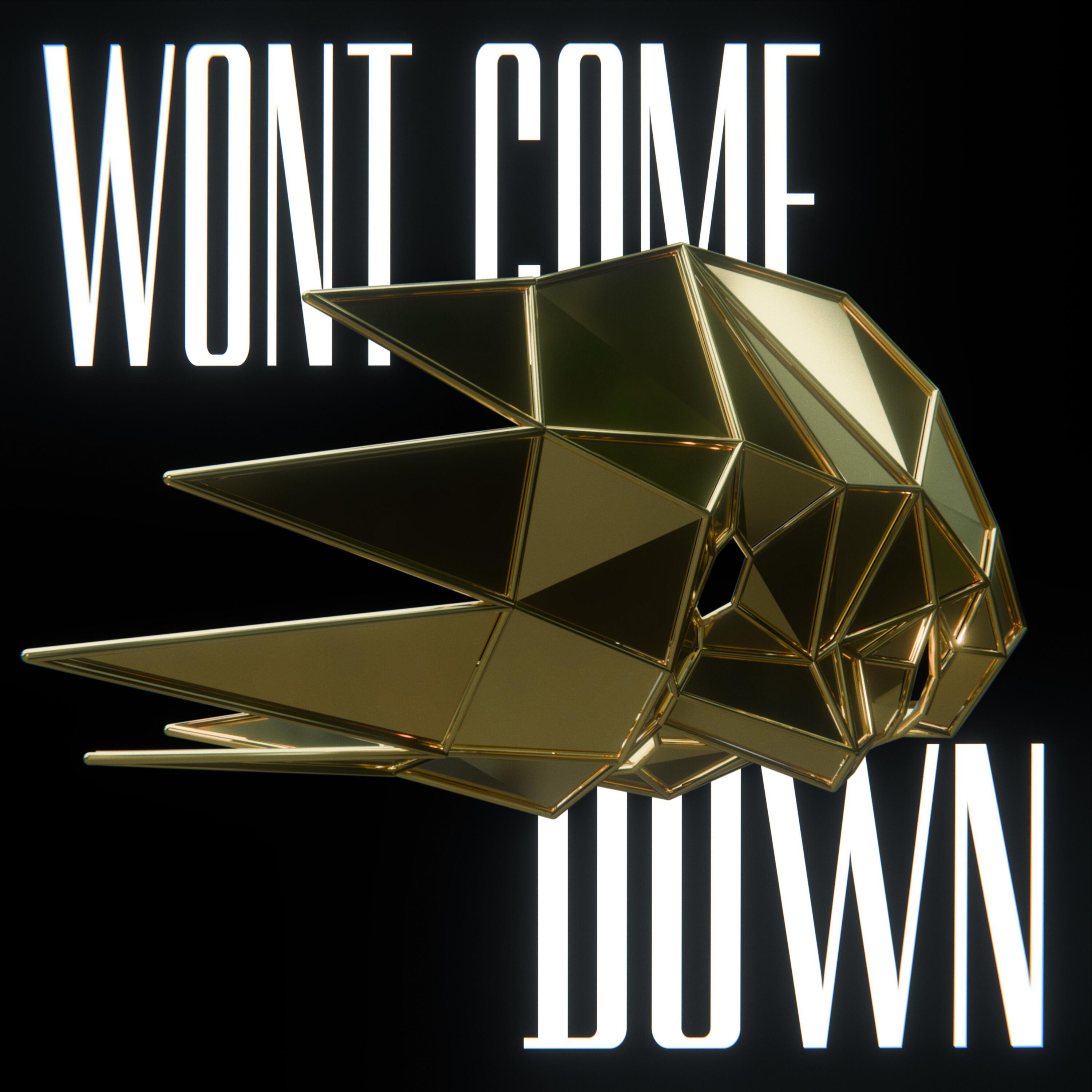 Релиз Won't Come Down