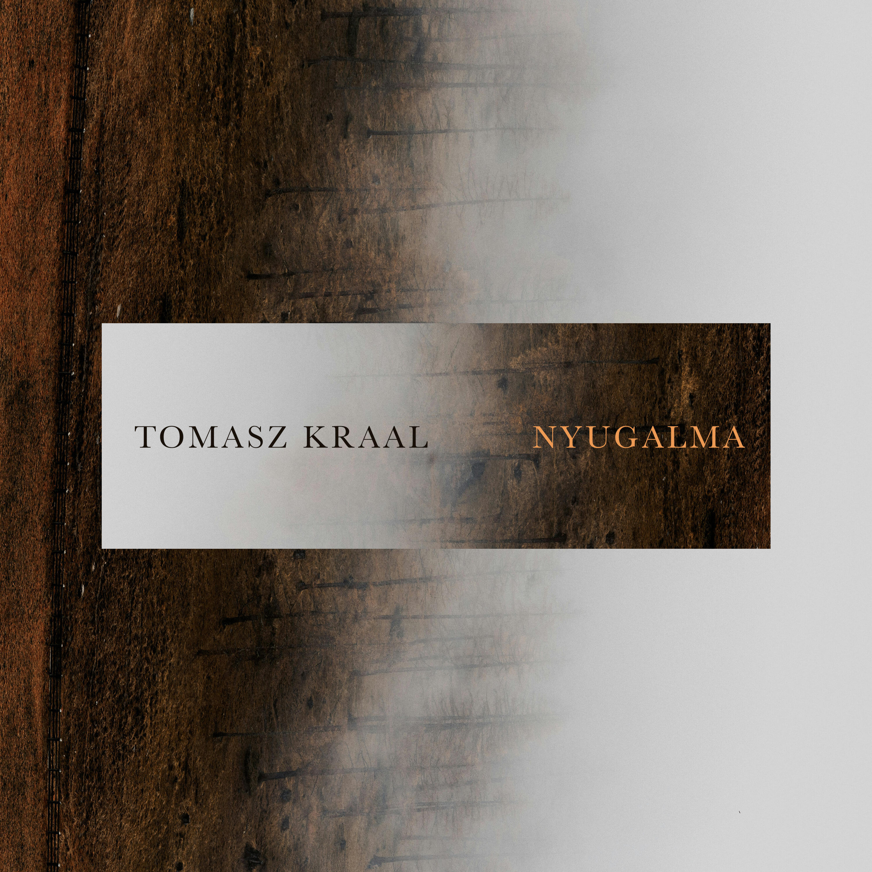 Tomasz Kraal