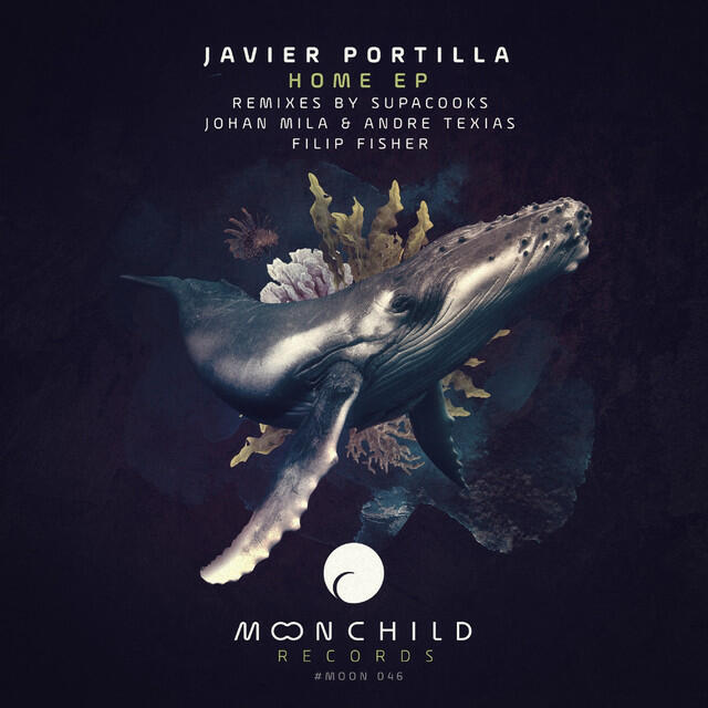 Javier Portilla