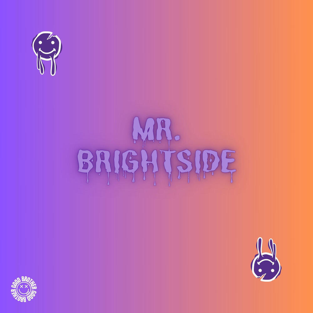 Релиз Mr. Brightside (House)