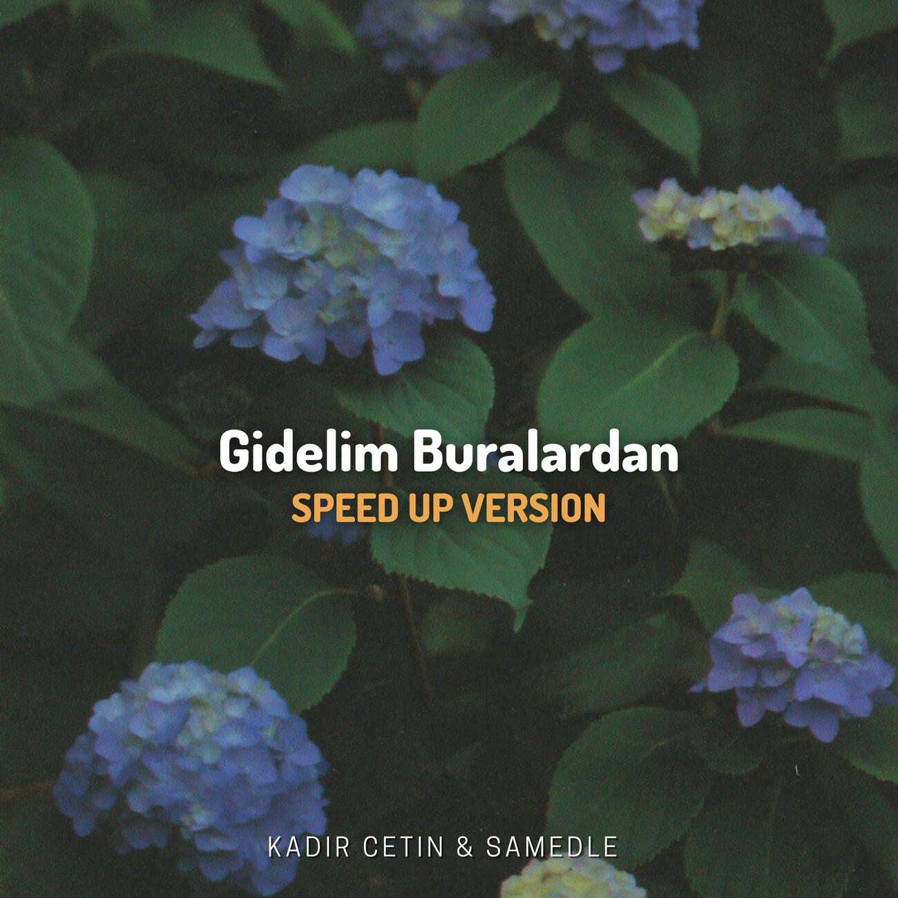 Постер альбома Gidelim Buralardan (Speed Up Version)
