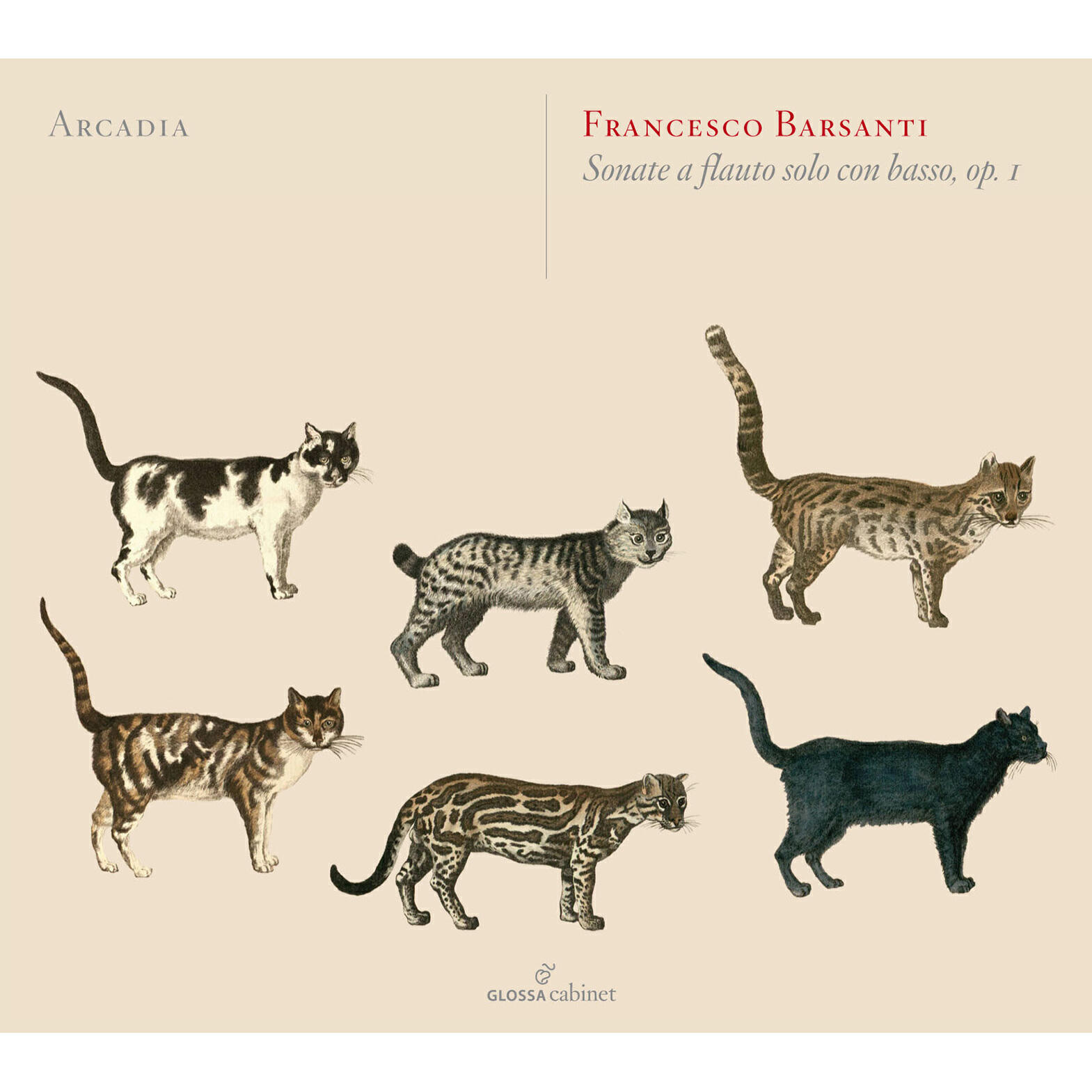 Релиз Barsanti: 6 Recorder Sonatas, Op. 1