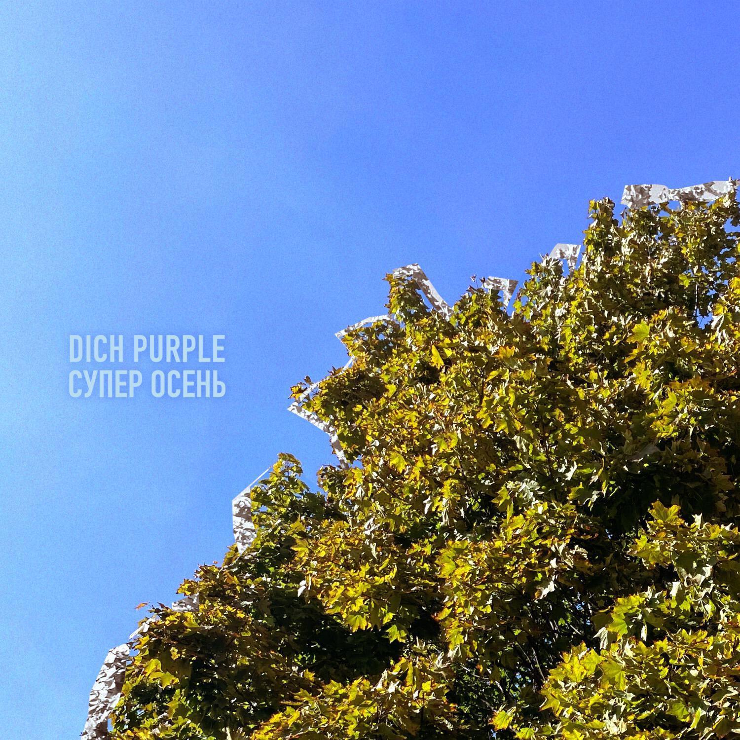 DICH PURPLE