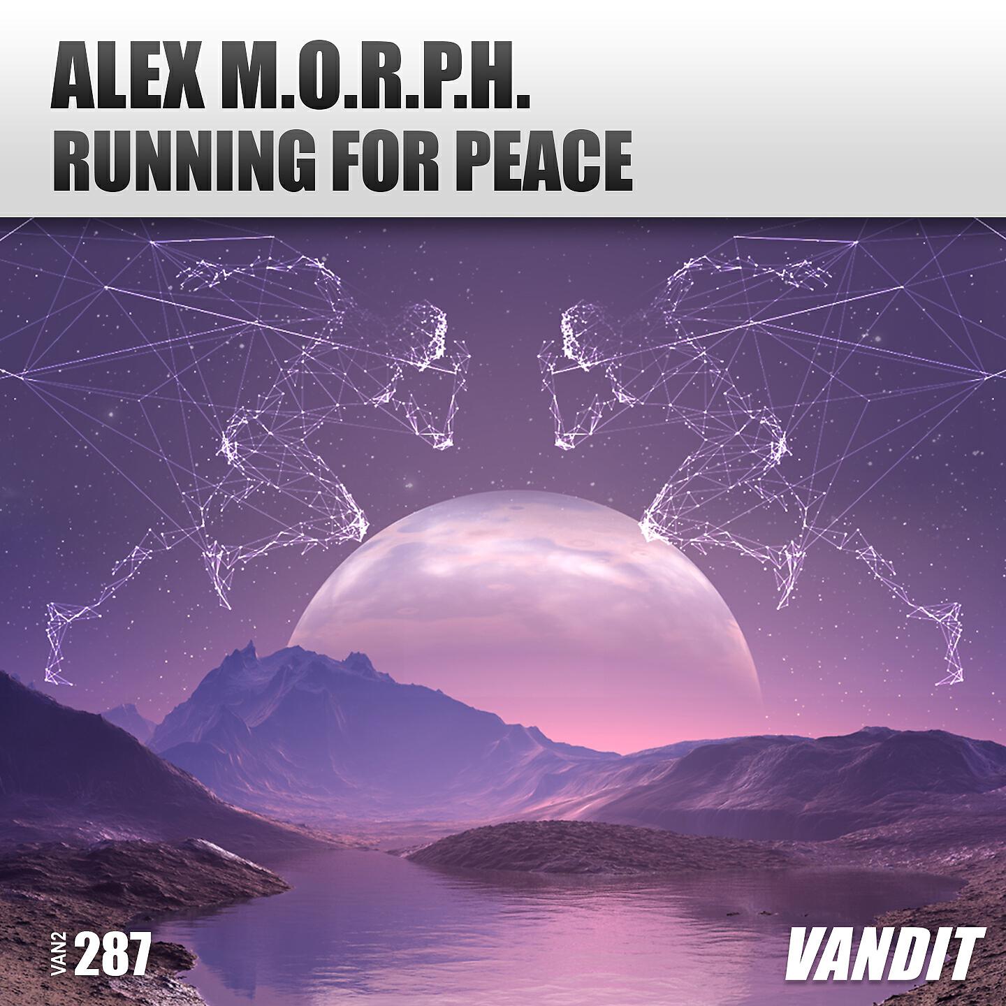 Постер альбома Running for Peace