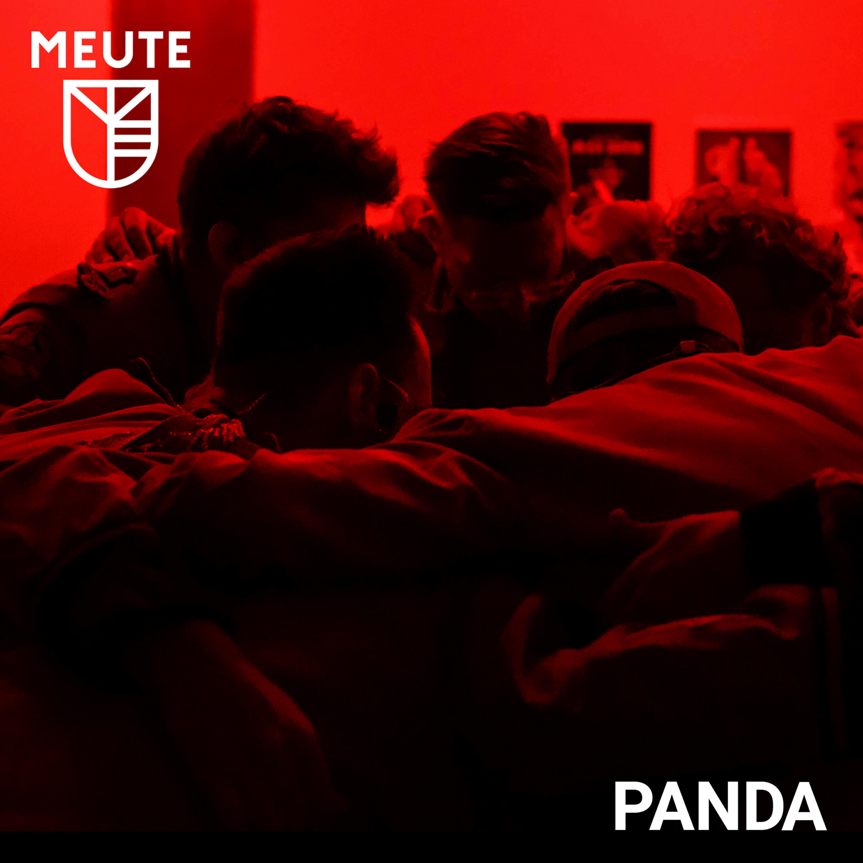 Релиз Panda