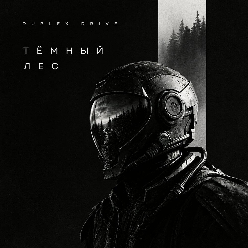 Релиз Тёмный лес