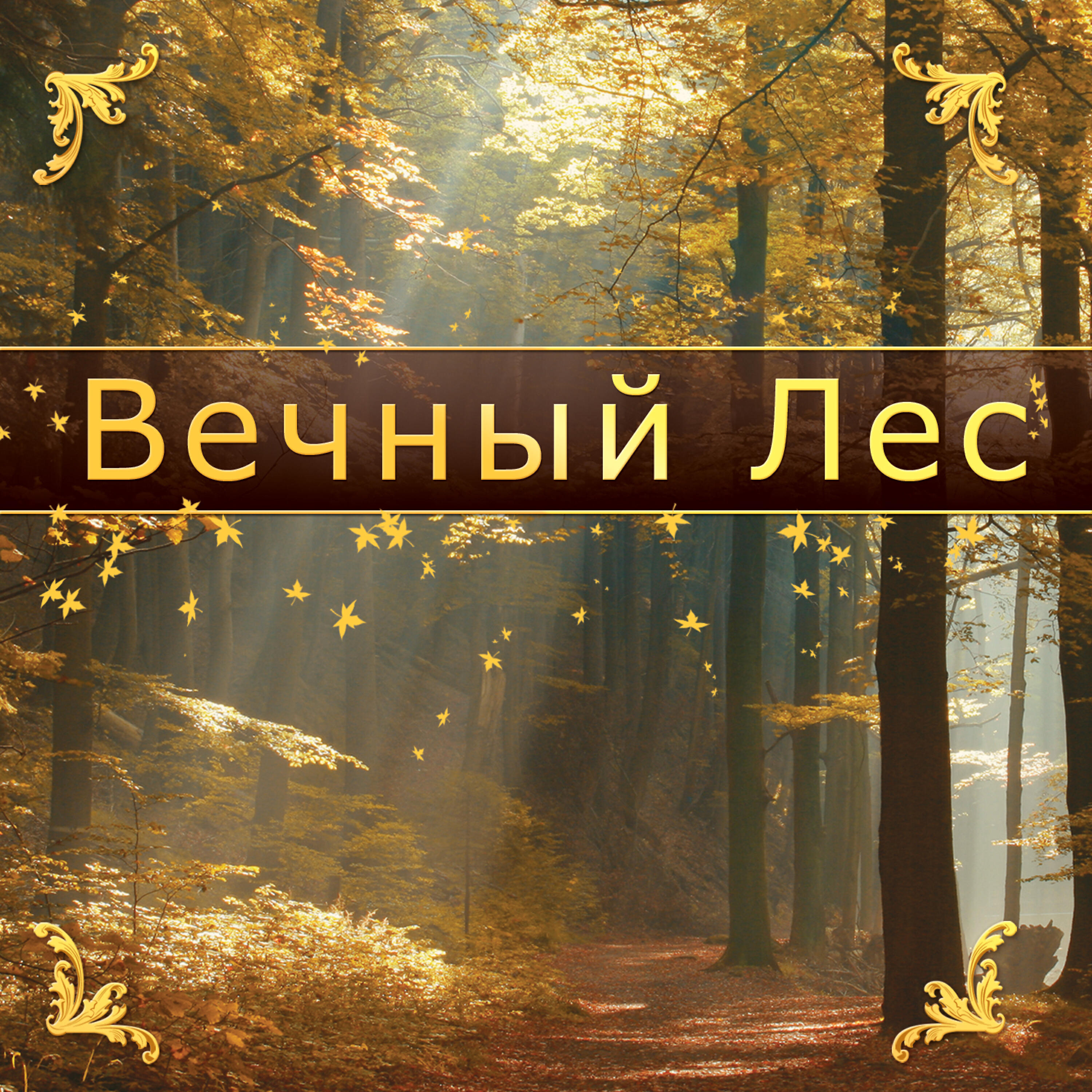 Релиз Вечный Лес