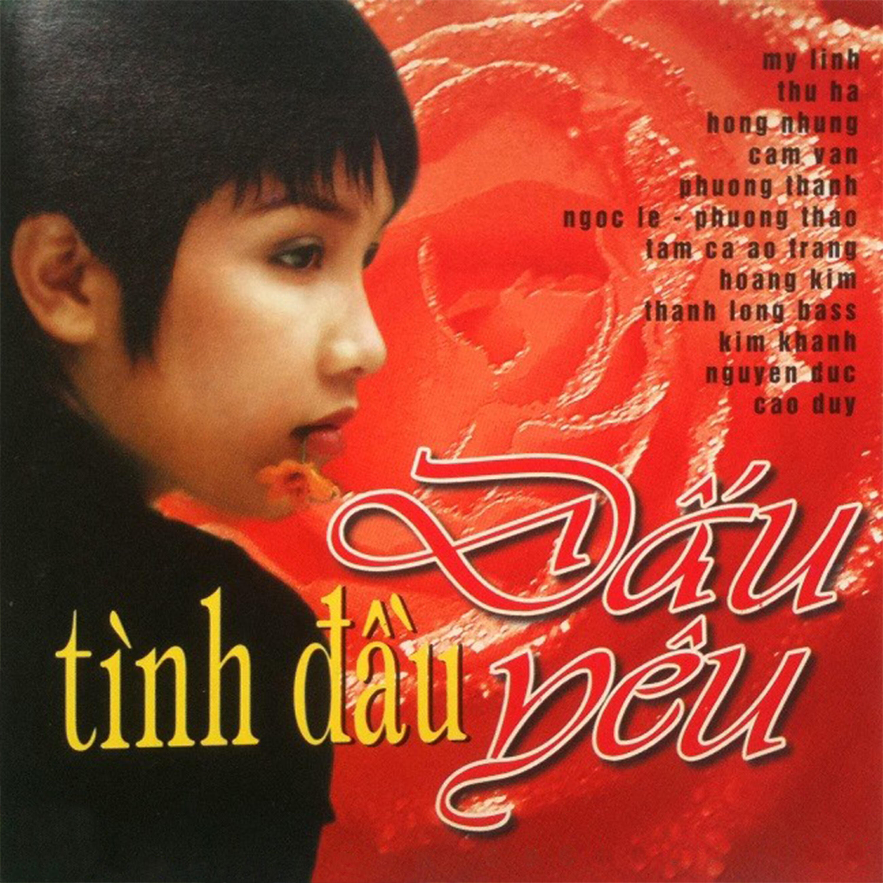 Релиз Dấu yêu tình đầu