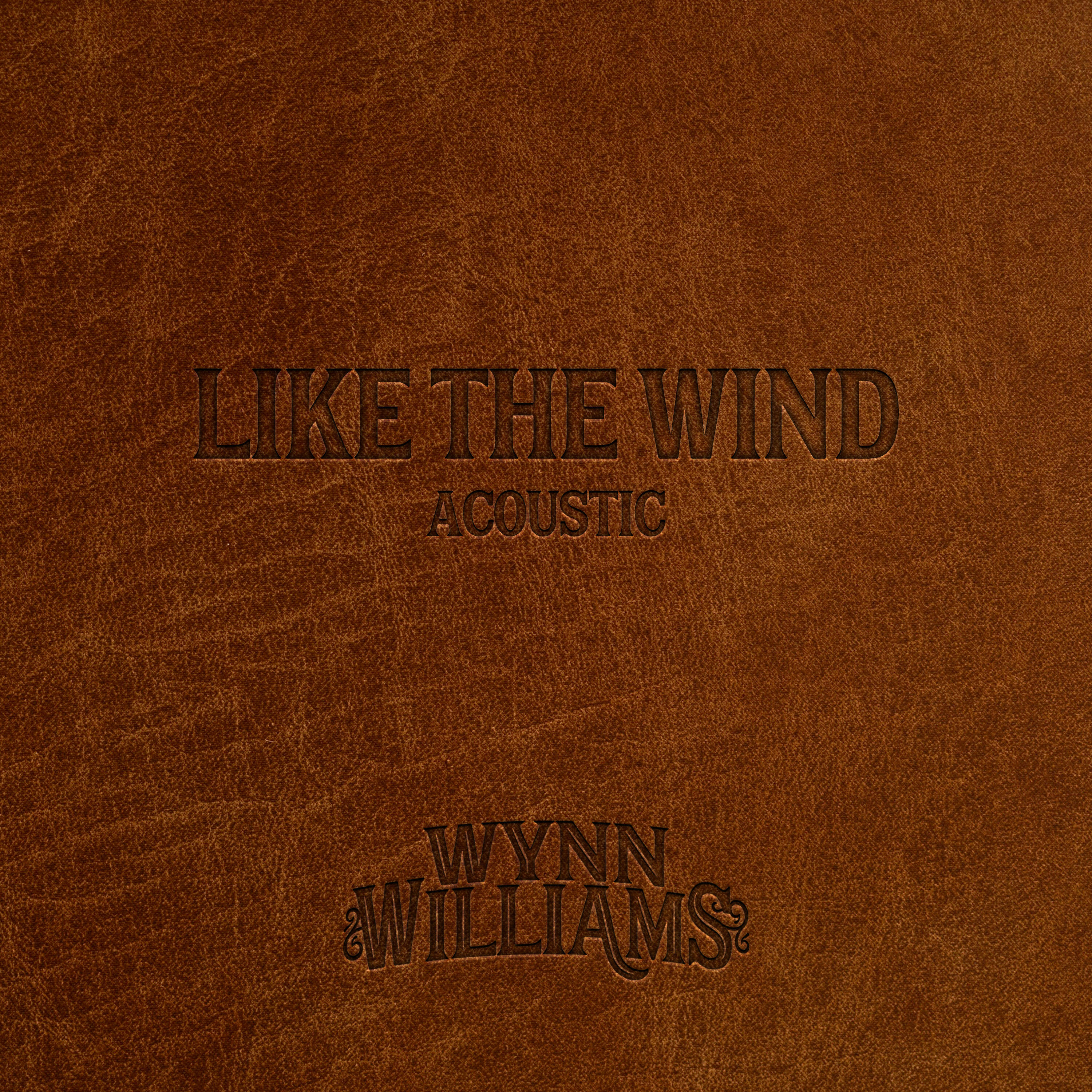 Релиз Like the Wind