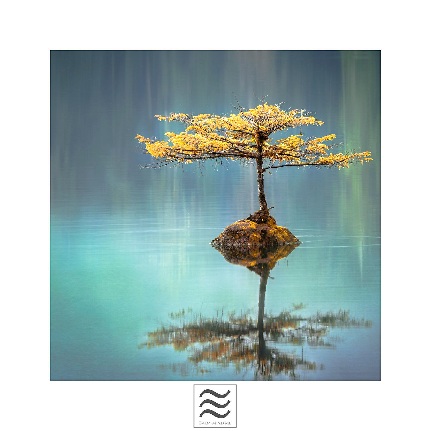 Релиз Meditation Bowls Music