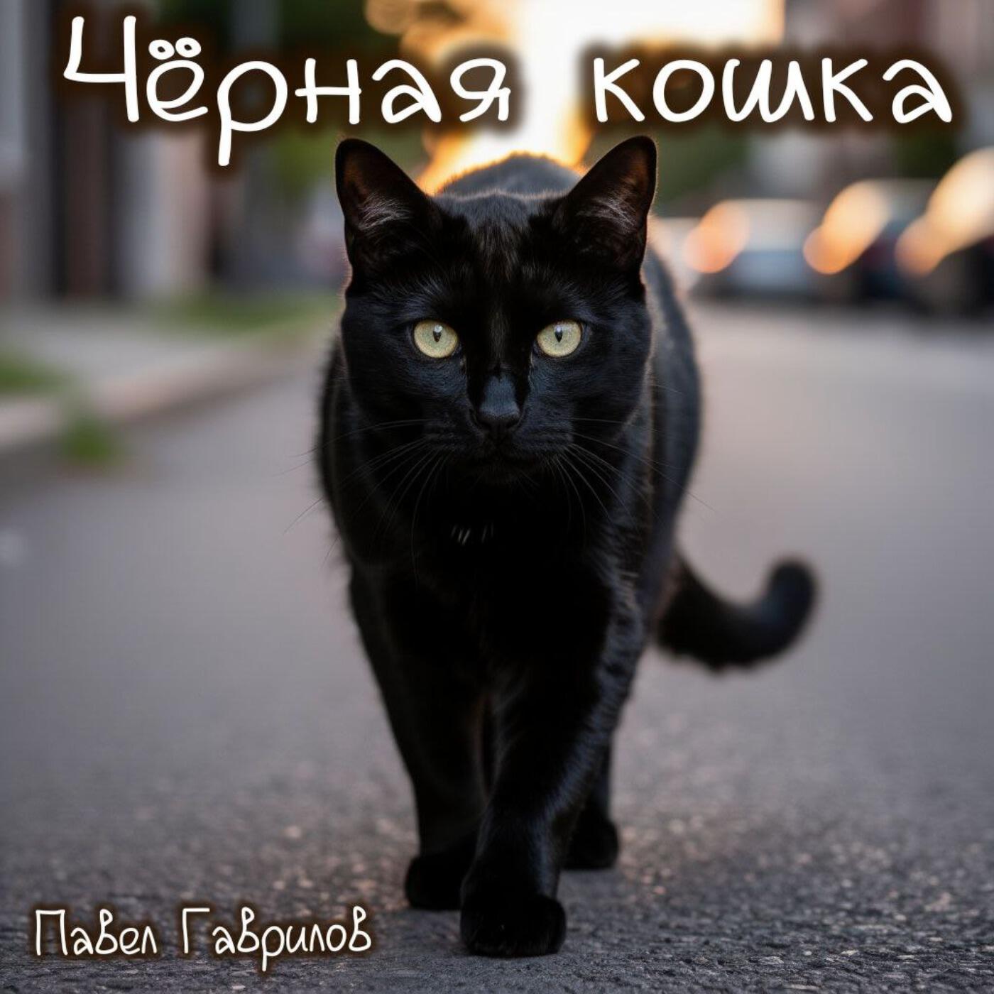 Релиз Чёрная кошка