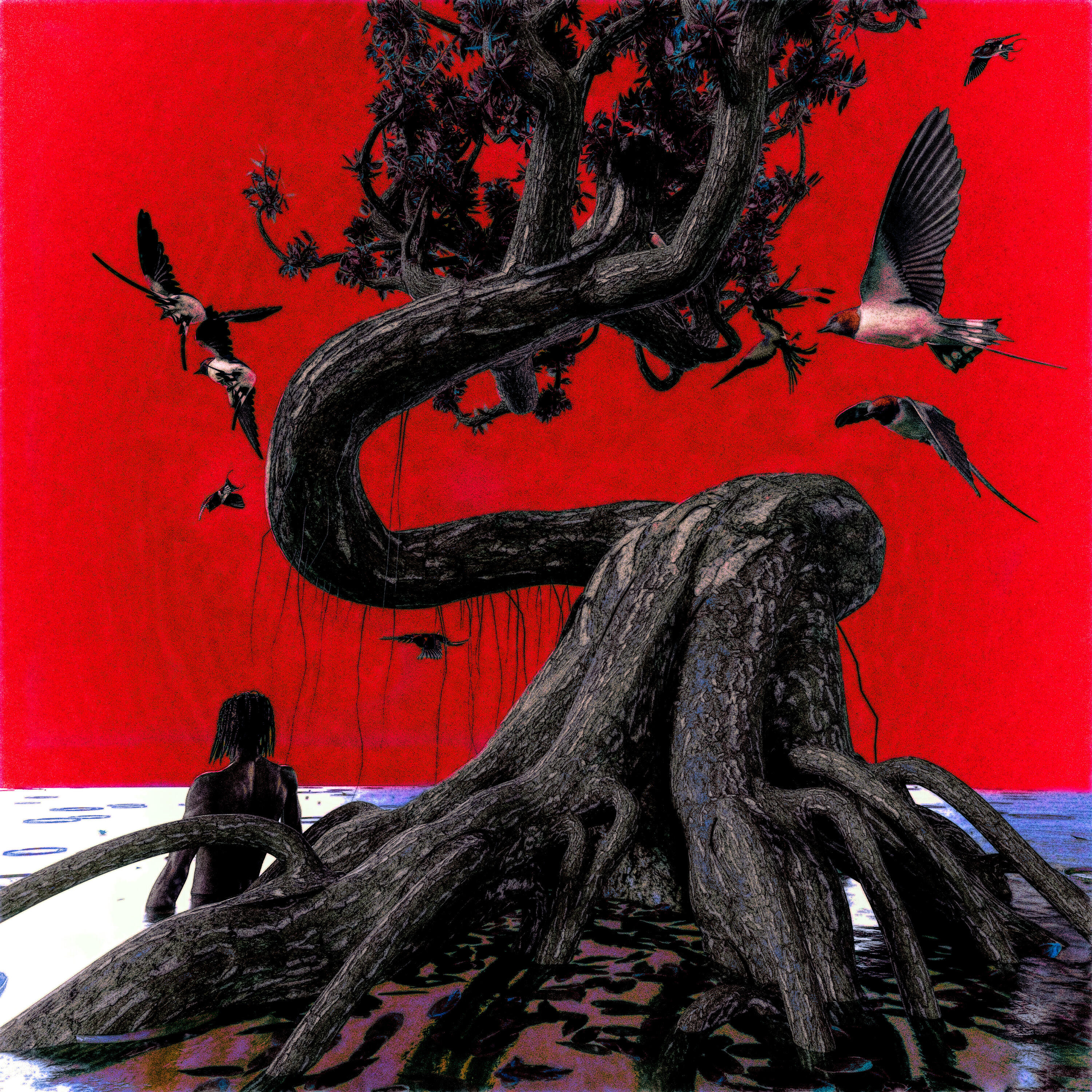 Релиз birds