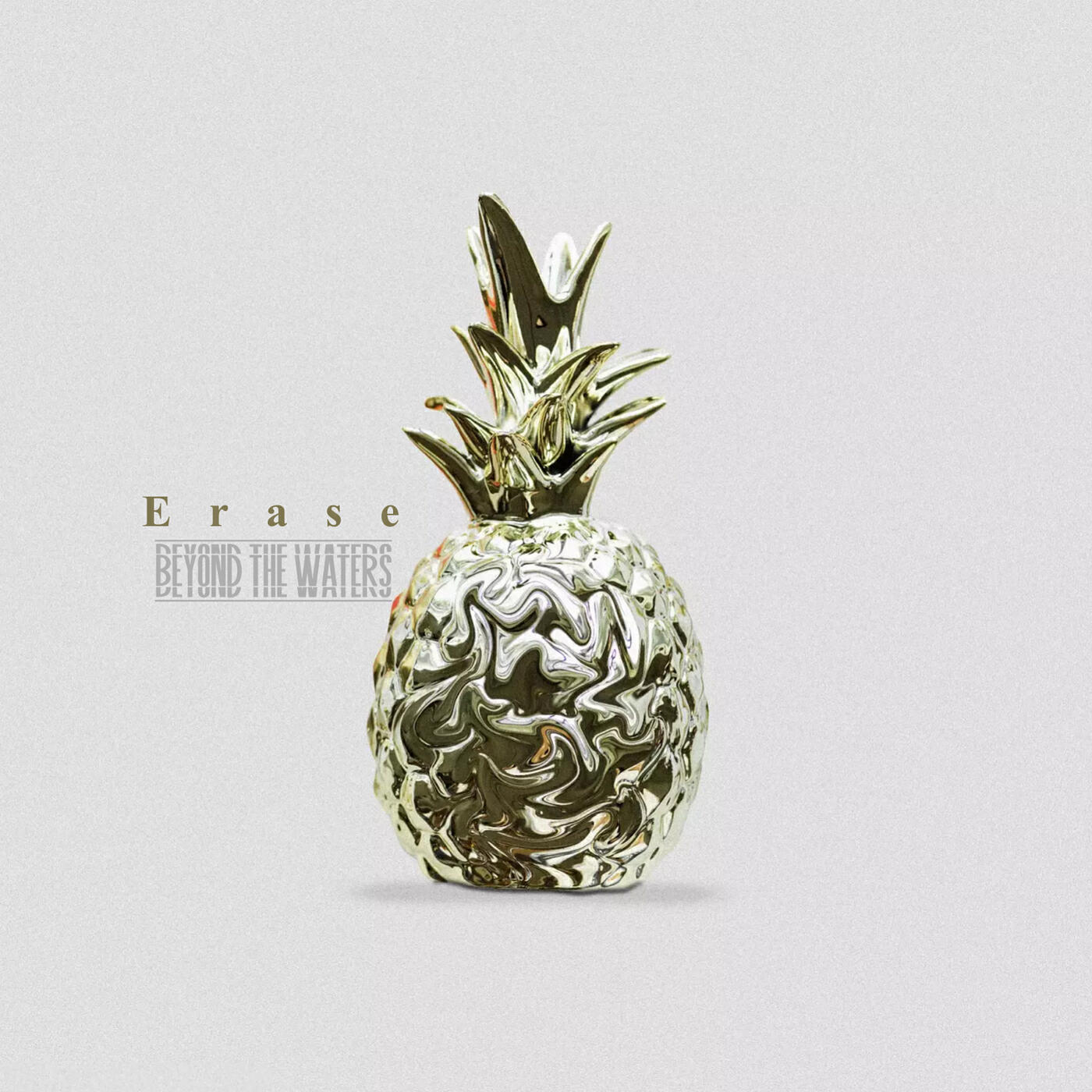 Релиз Erase