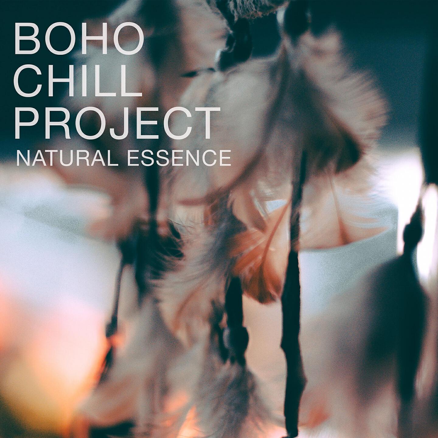 Постер альбома Natural Essence