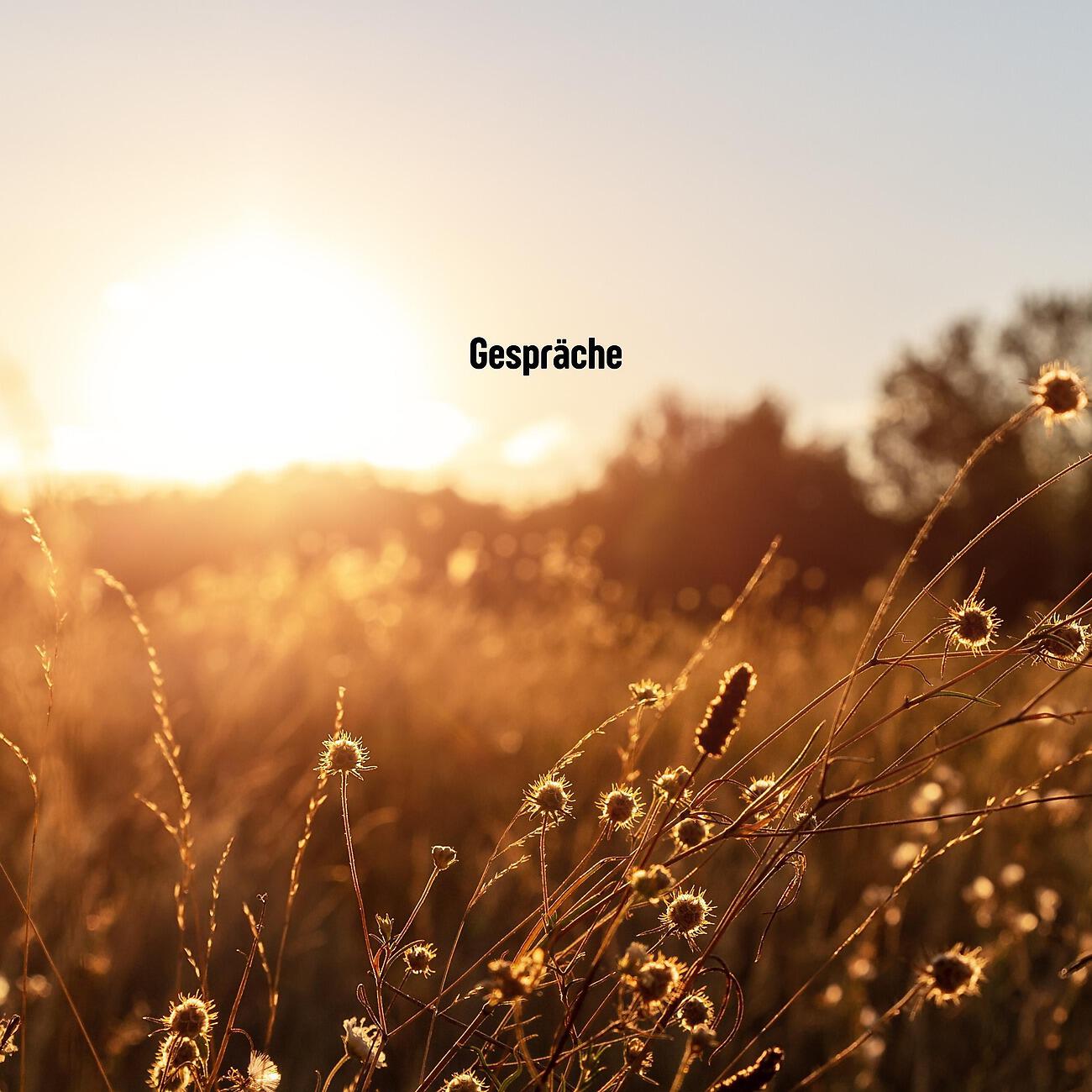 Релиз Gespräche