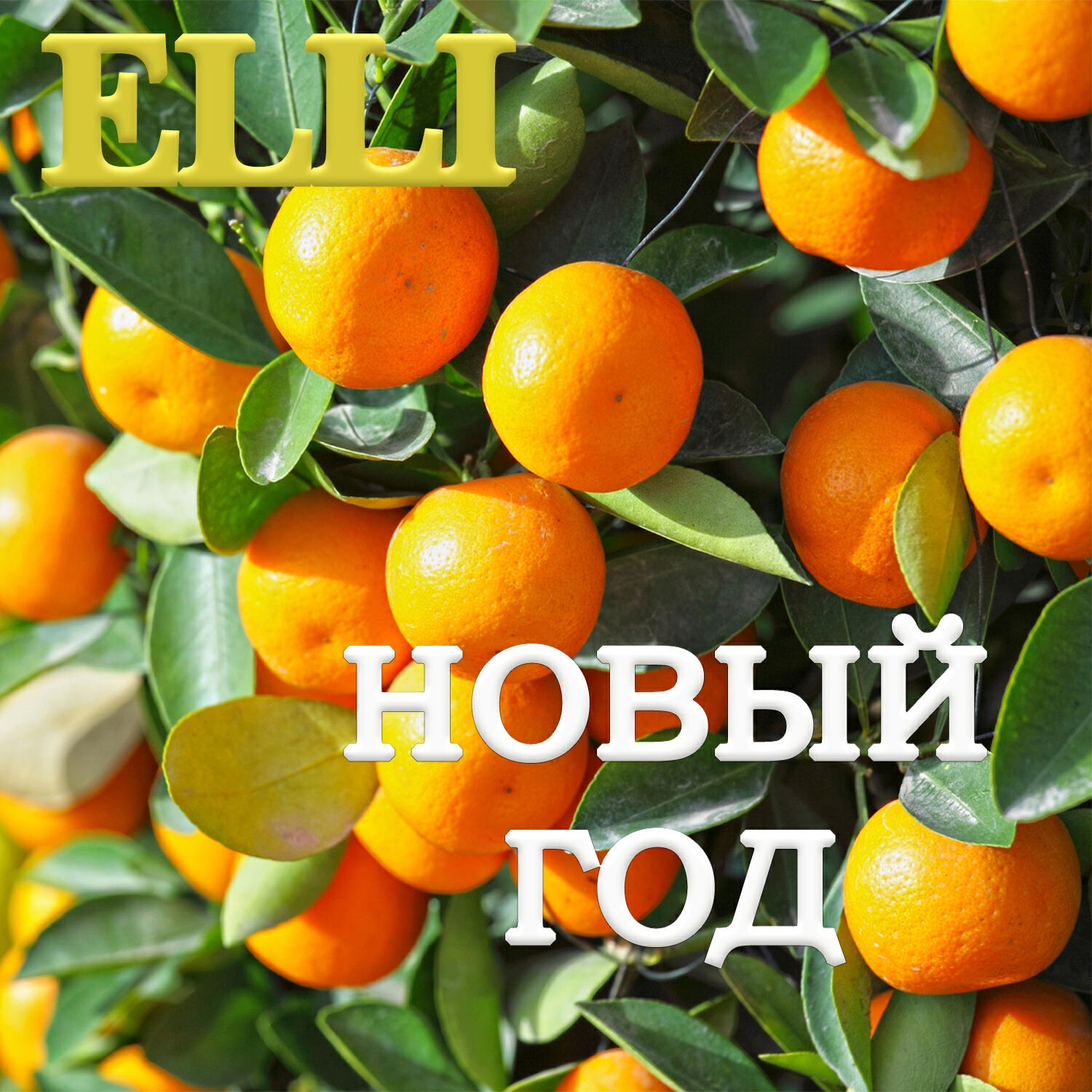 Релиз Новый год