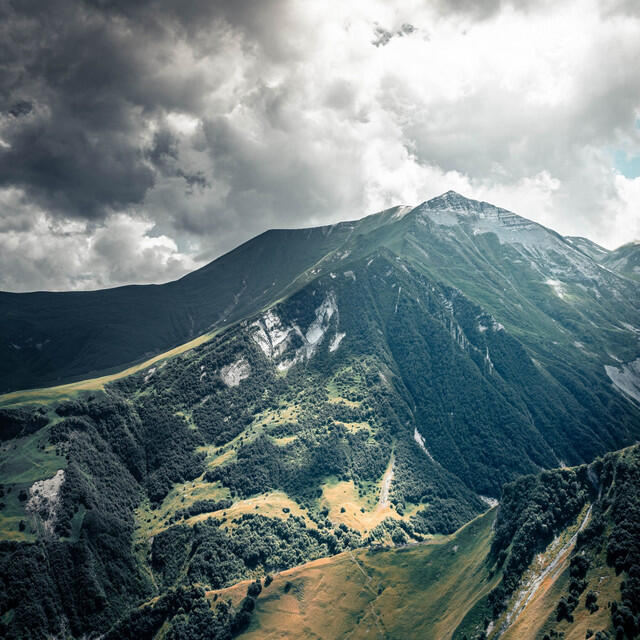 Обложка артиста