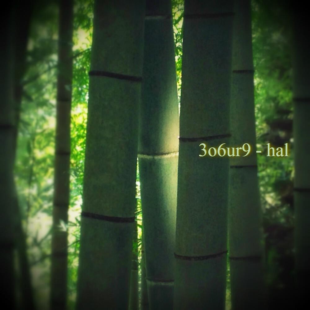 Релиз Hal