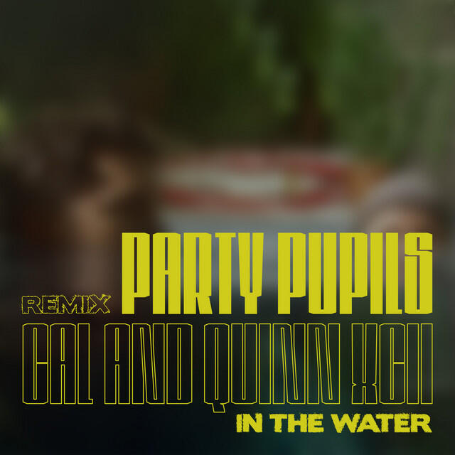 Релиз In the Water (with Quinn XCII / Party Pupils Remix)