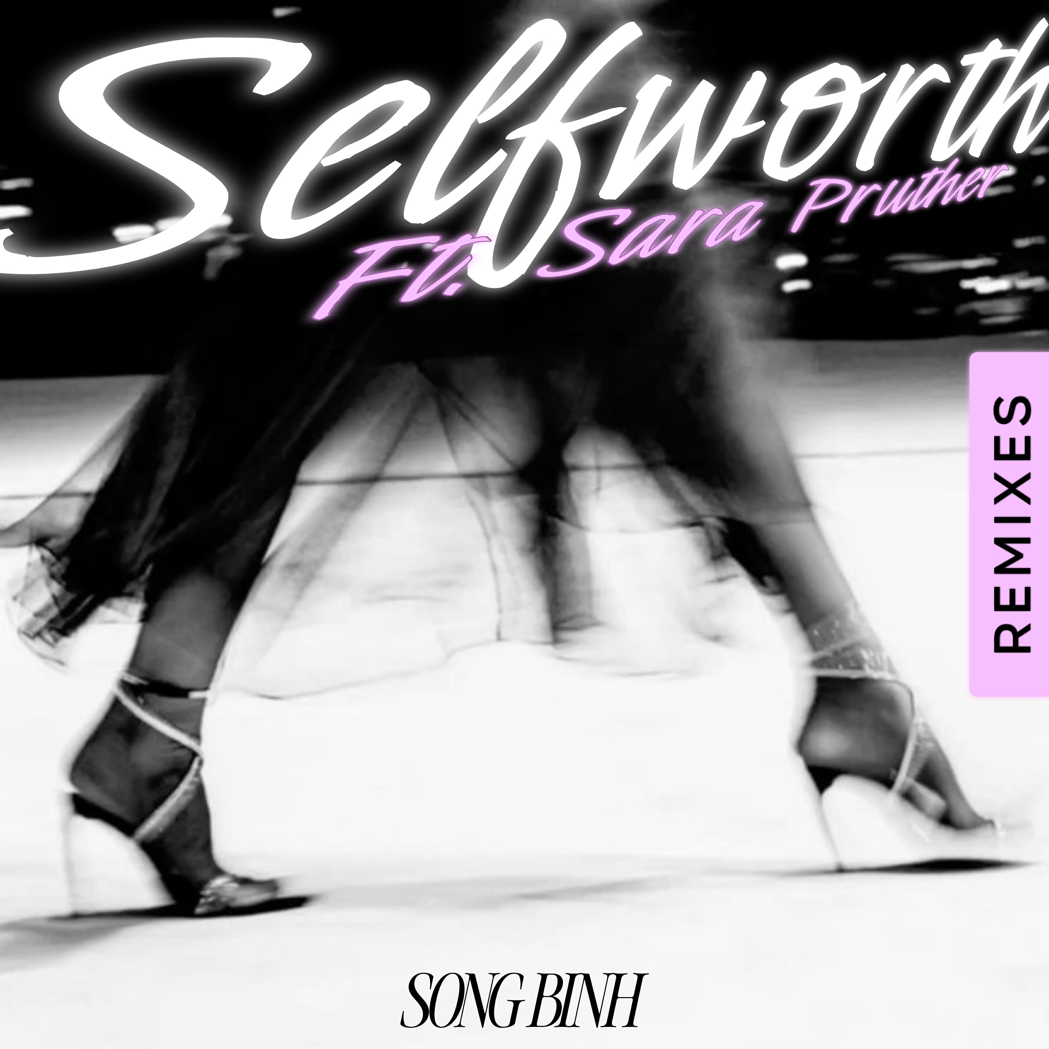 Постер альбома Selfworth (Remixes)