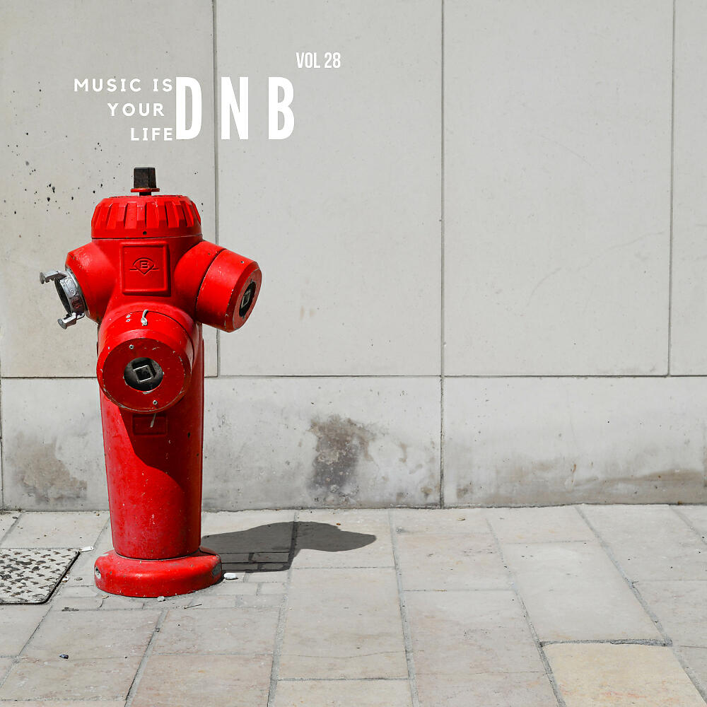 Релиз Music Is Your Life Dnb, Vol. 28
