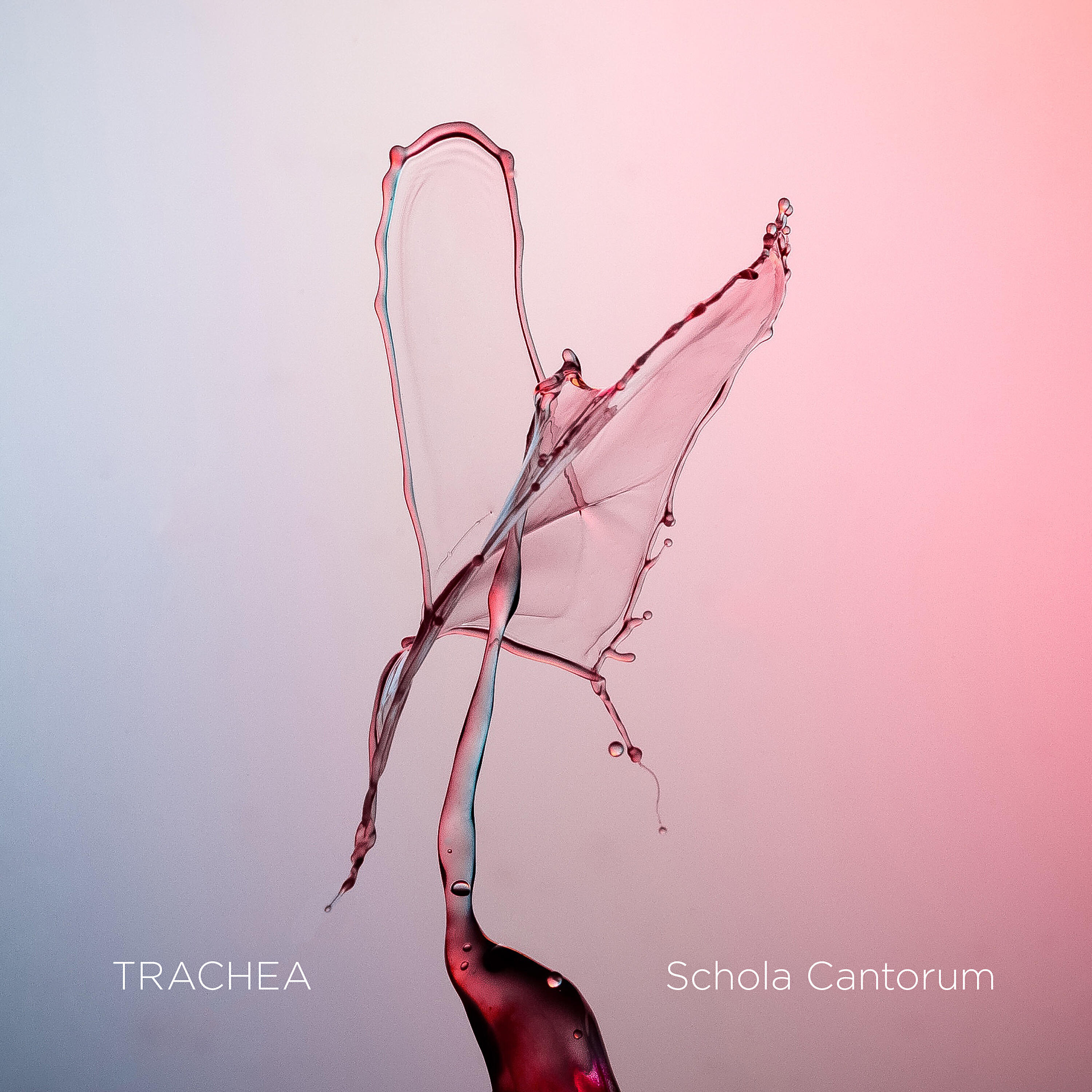 Релиз Trachea