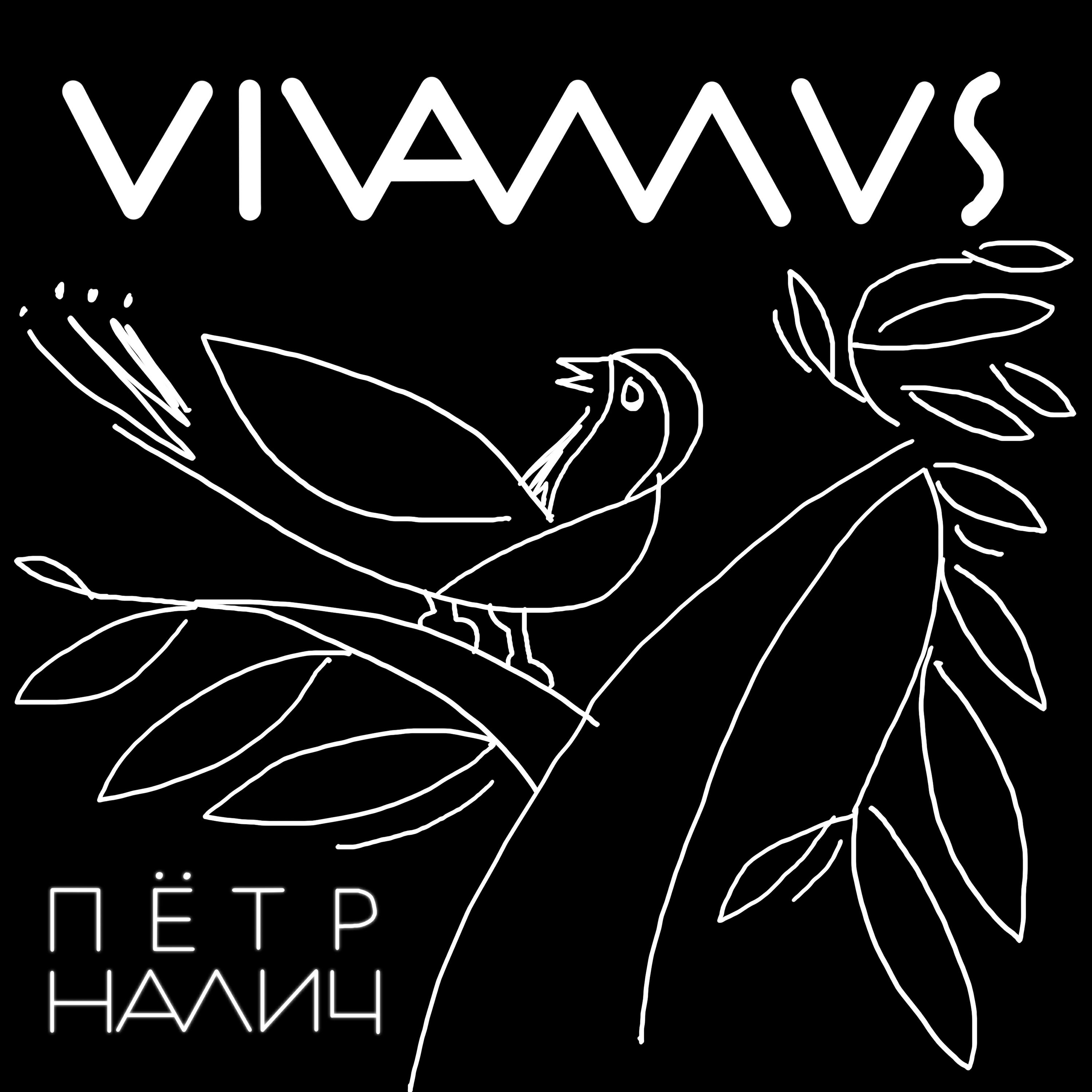 Релиз Vivamus